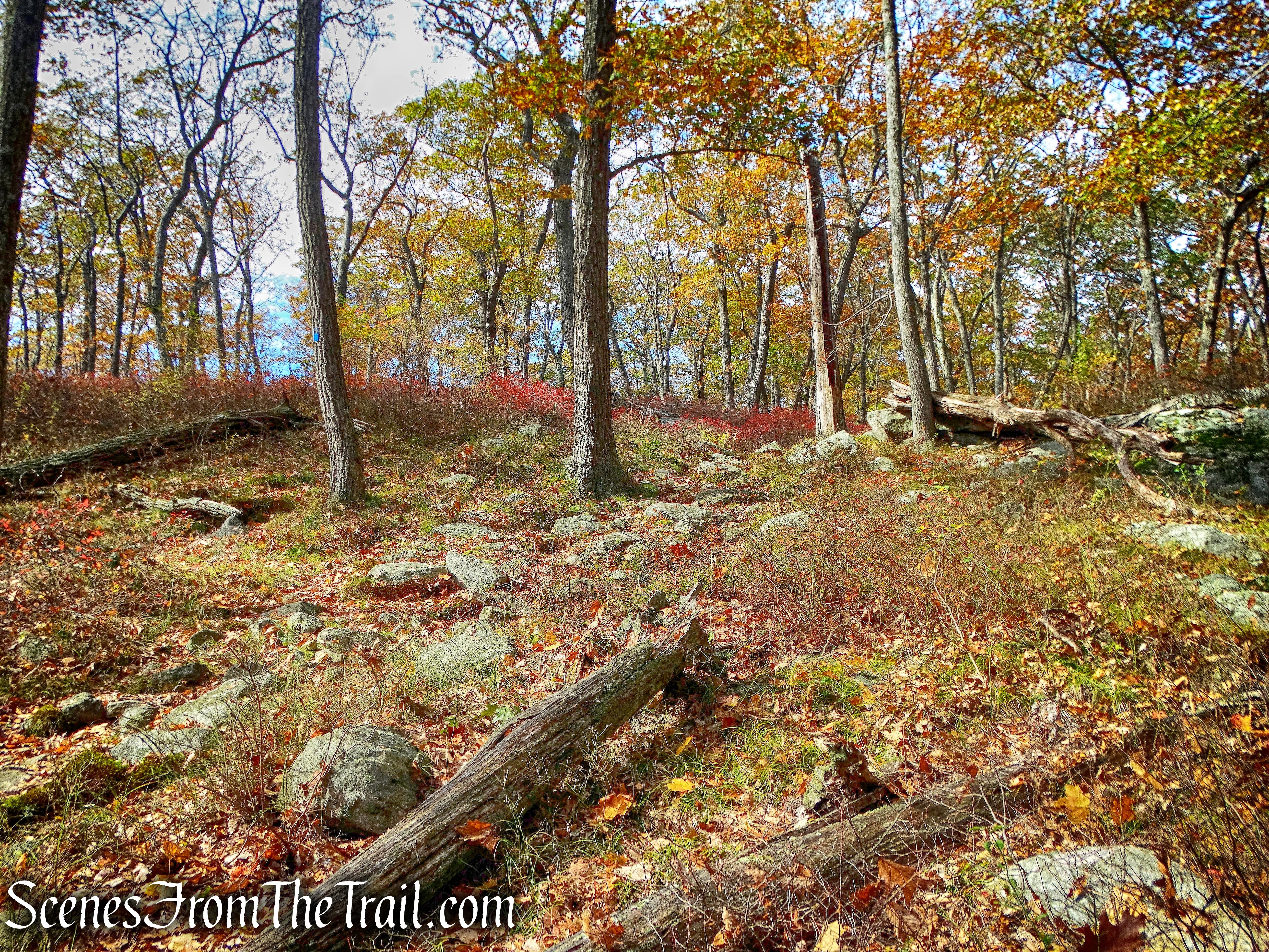 Hurst Trail