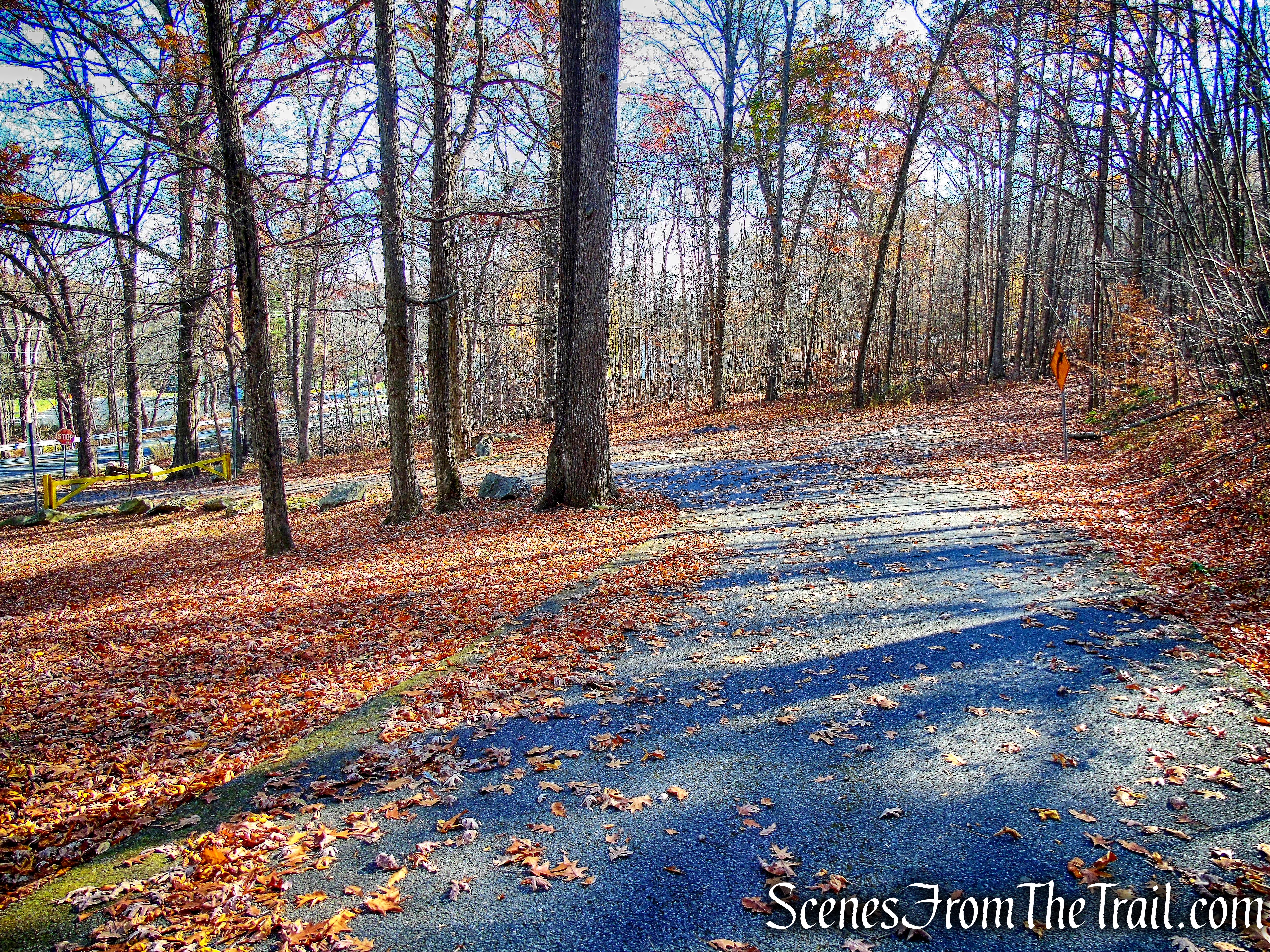 Cronomer Hill Park