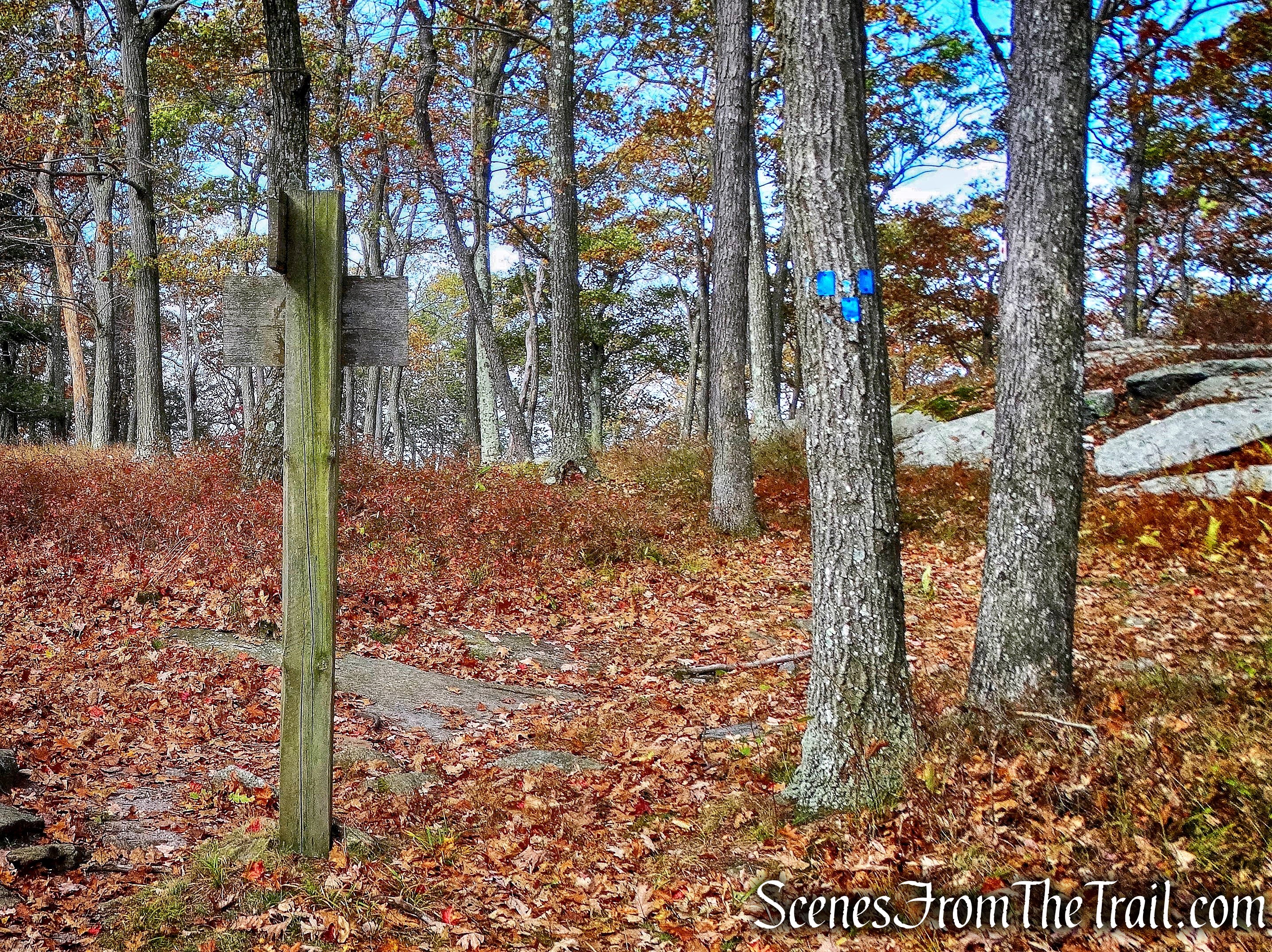 Terminus of the Hurst Trail