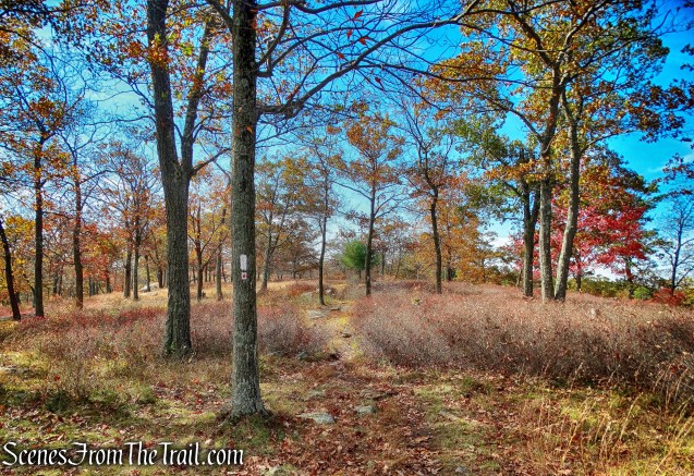 joint Appalachian/Ramapo-Dunderberg Trails