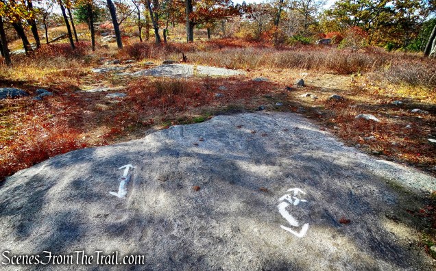 Veer left to stay on Ramapo-Dunderberg (R-D) Trail