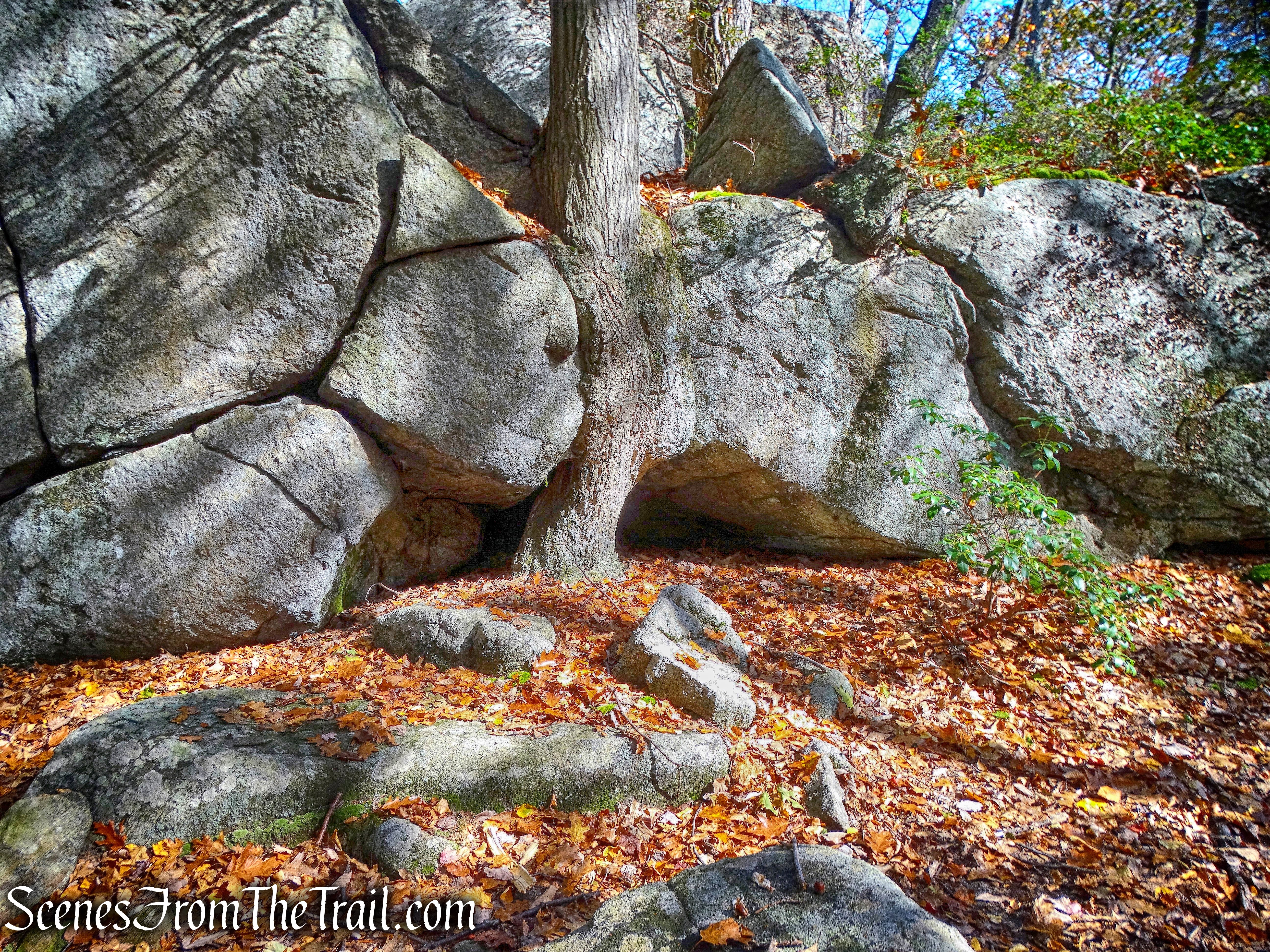Ramapo-Dunderberg Trail