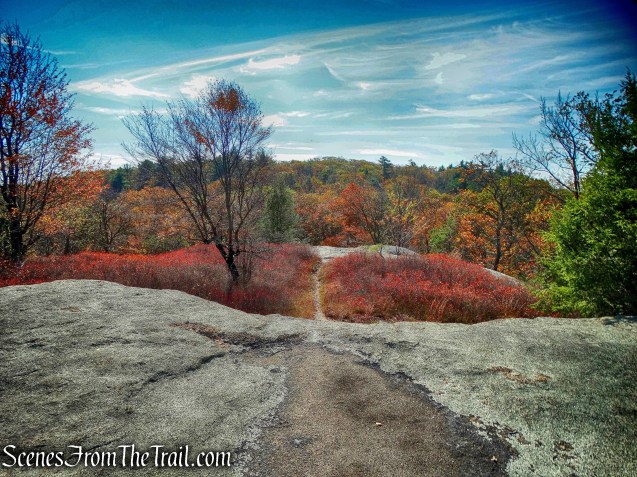 Ramapo-Dunderberg Trail