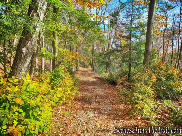 Arden-Surebridge (A-SB) Trail