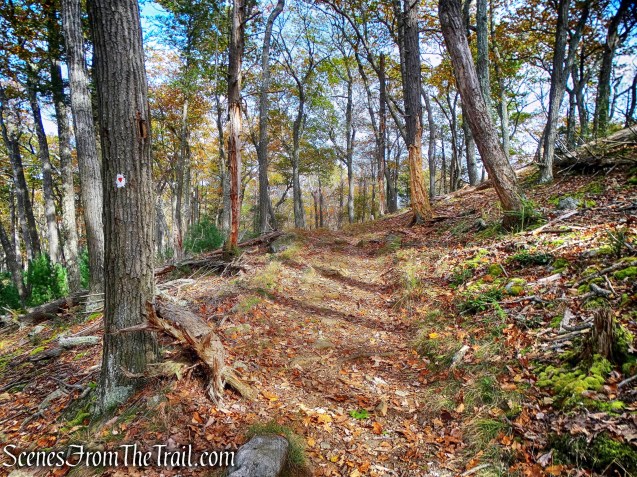 Arden-Surebridge (A-SB) Trail