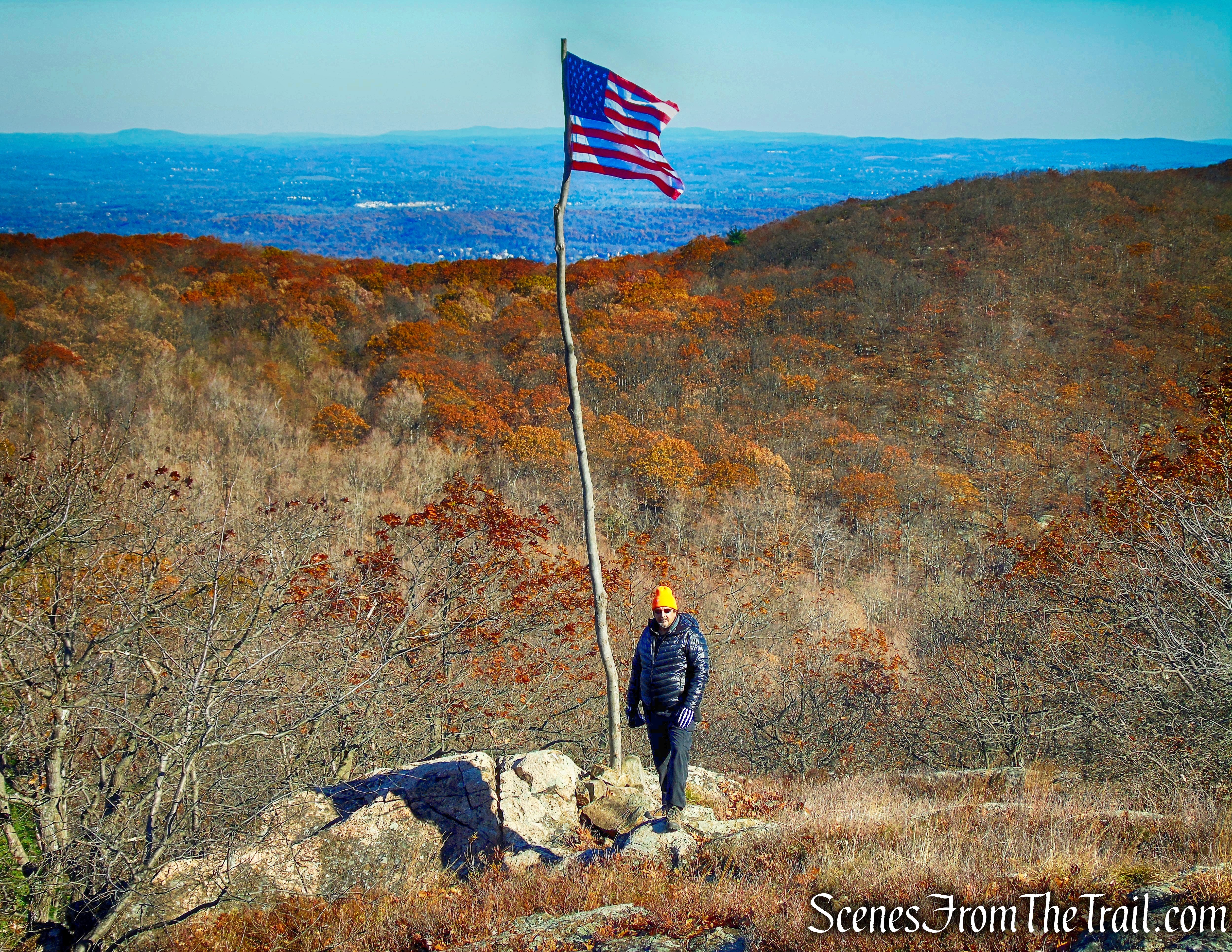 Darcy's Ridge