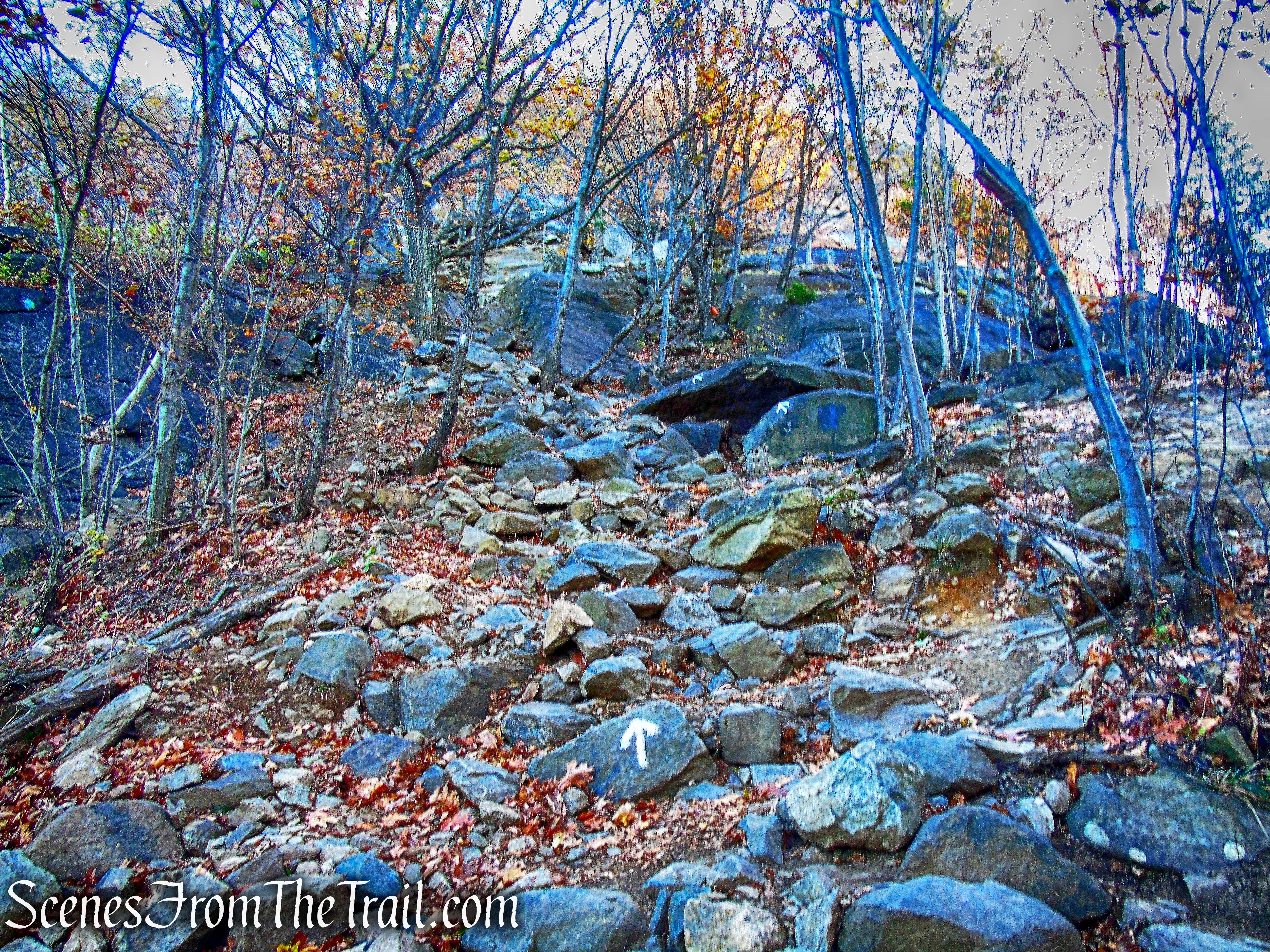 Breakneck Ridge Trail