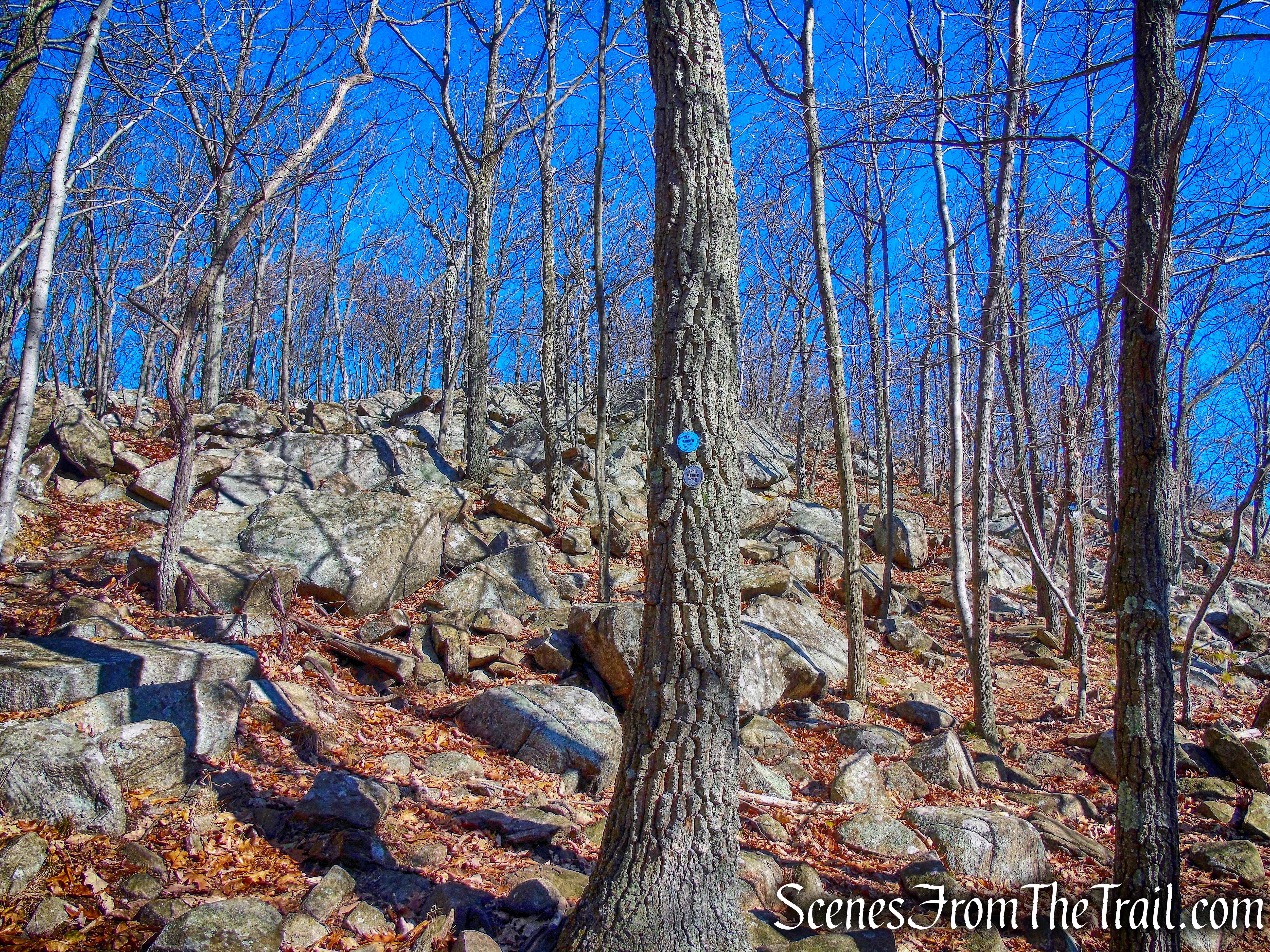 Joint Breakneck Ridge and Notch Trails