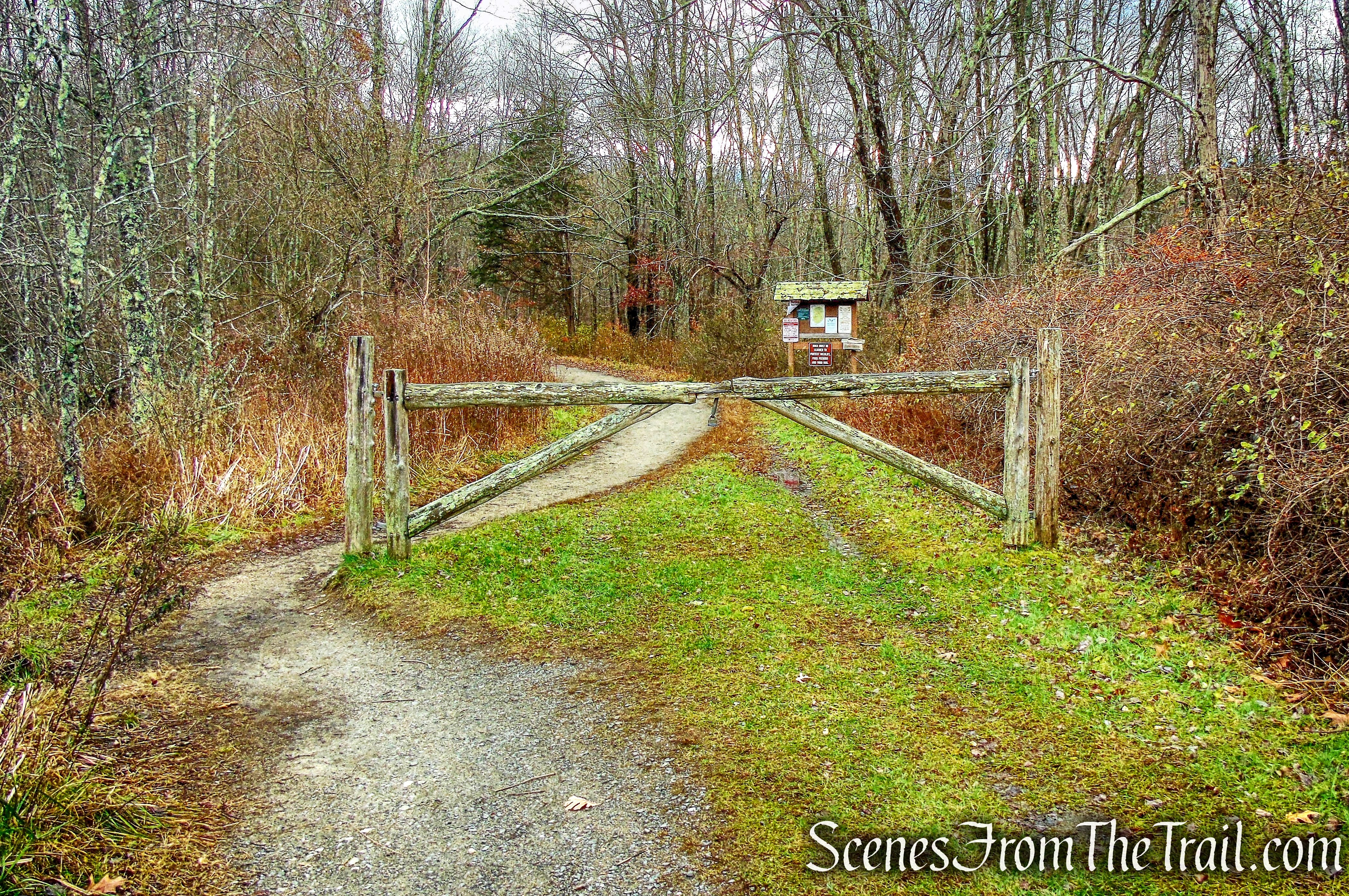 road blocked by a wooden gate