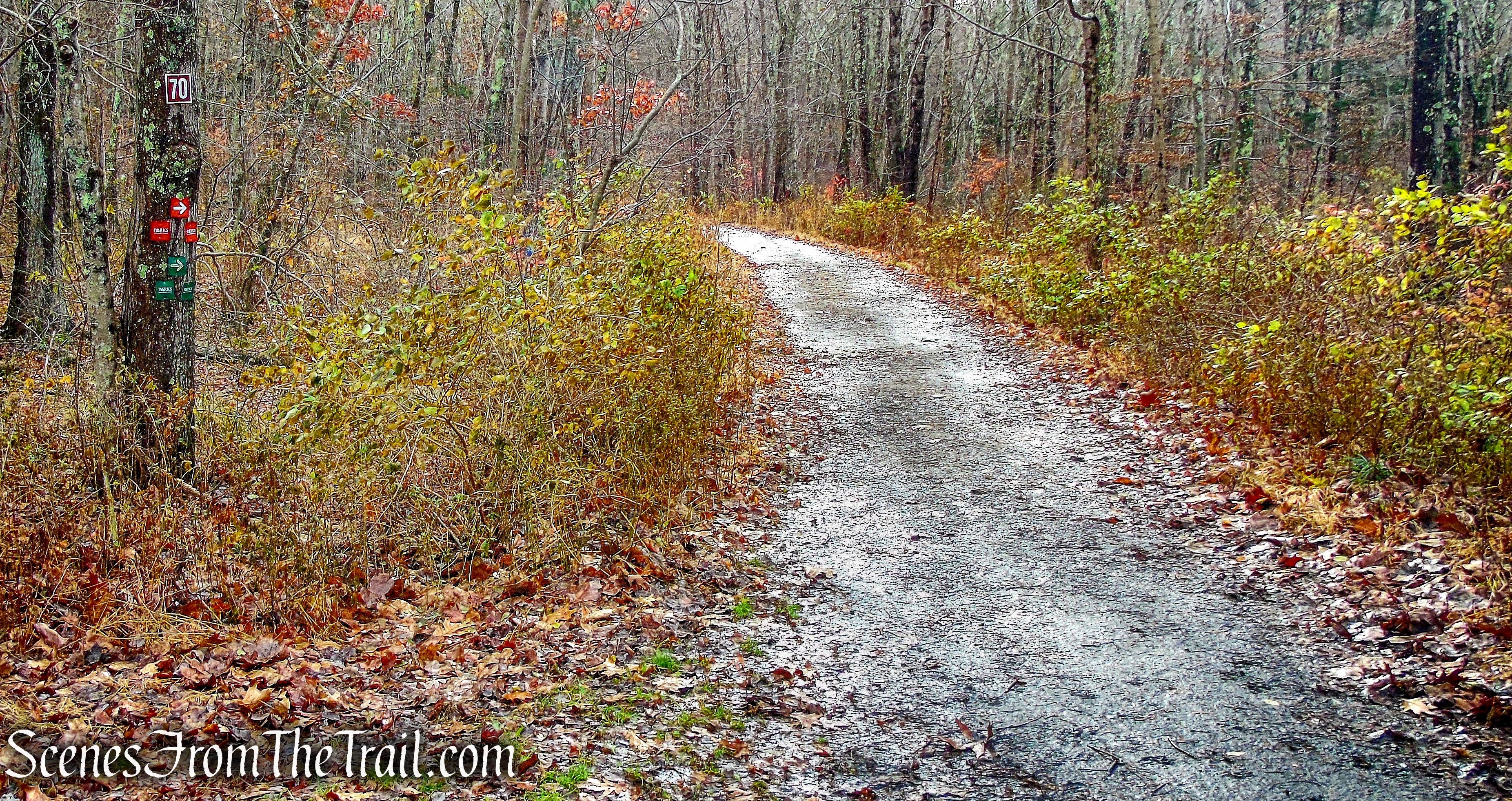 Start of the Red/Green Trail