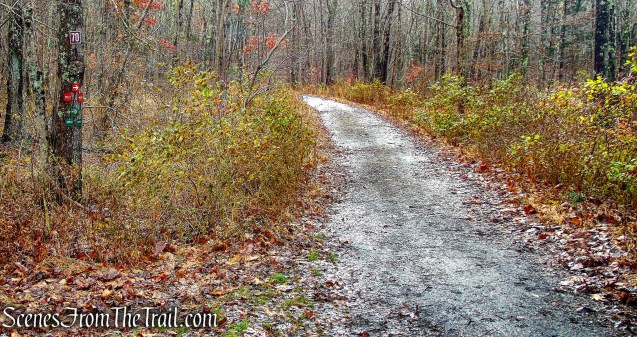 Start of the Red/Green Trail