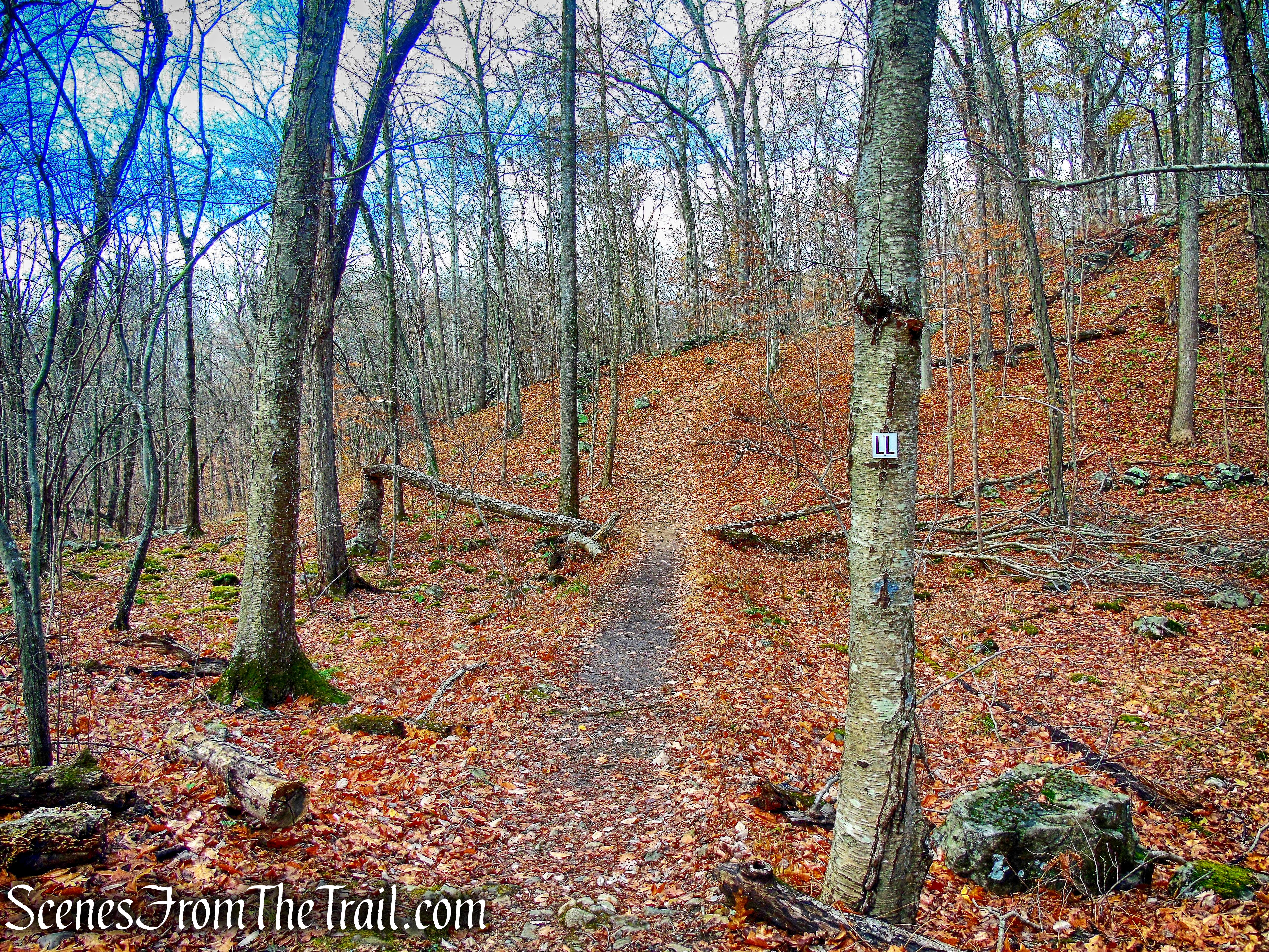 Leatherman's Loop Trail