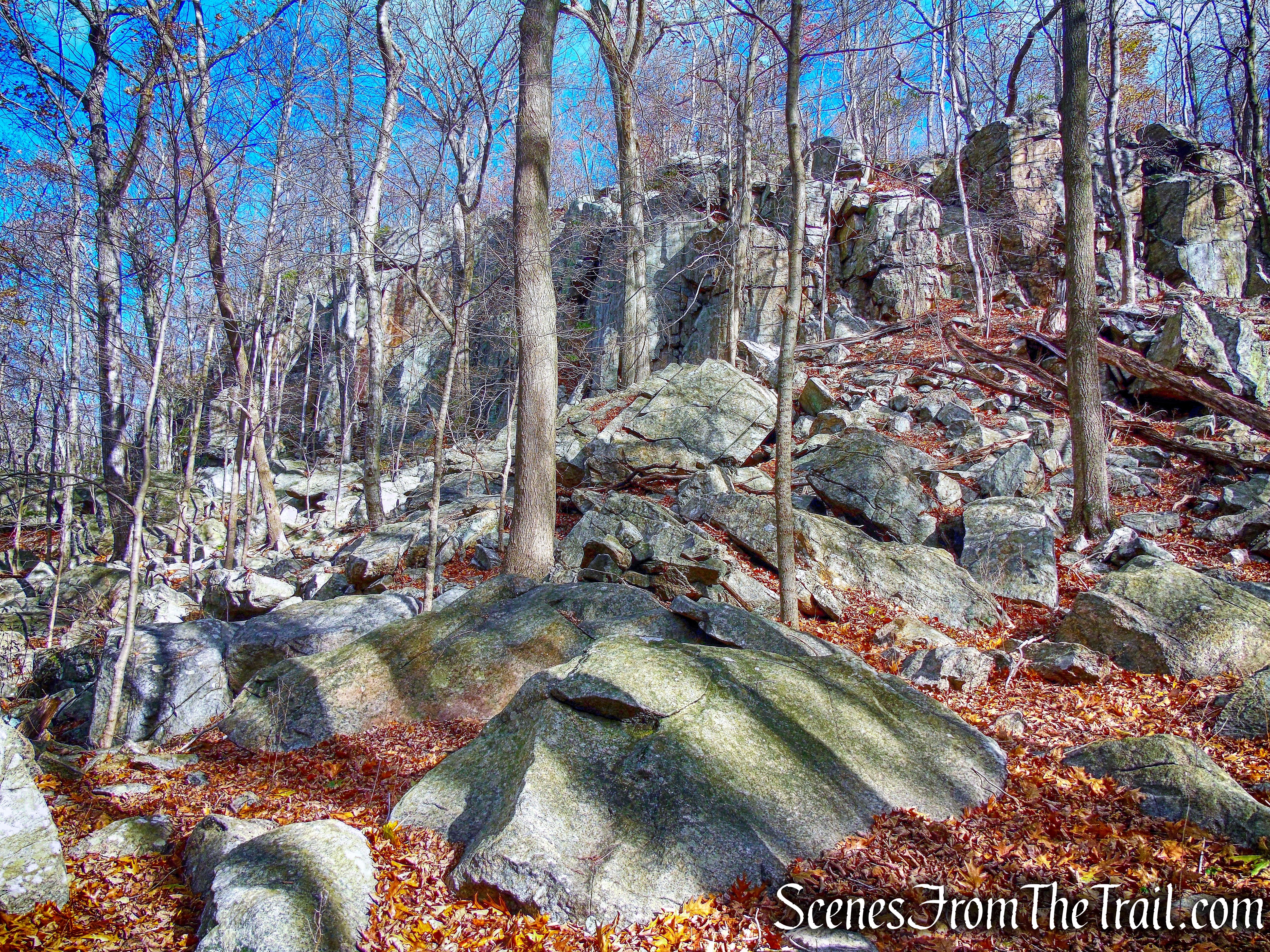 Ward Pound Ridge Reservation