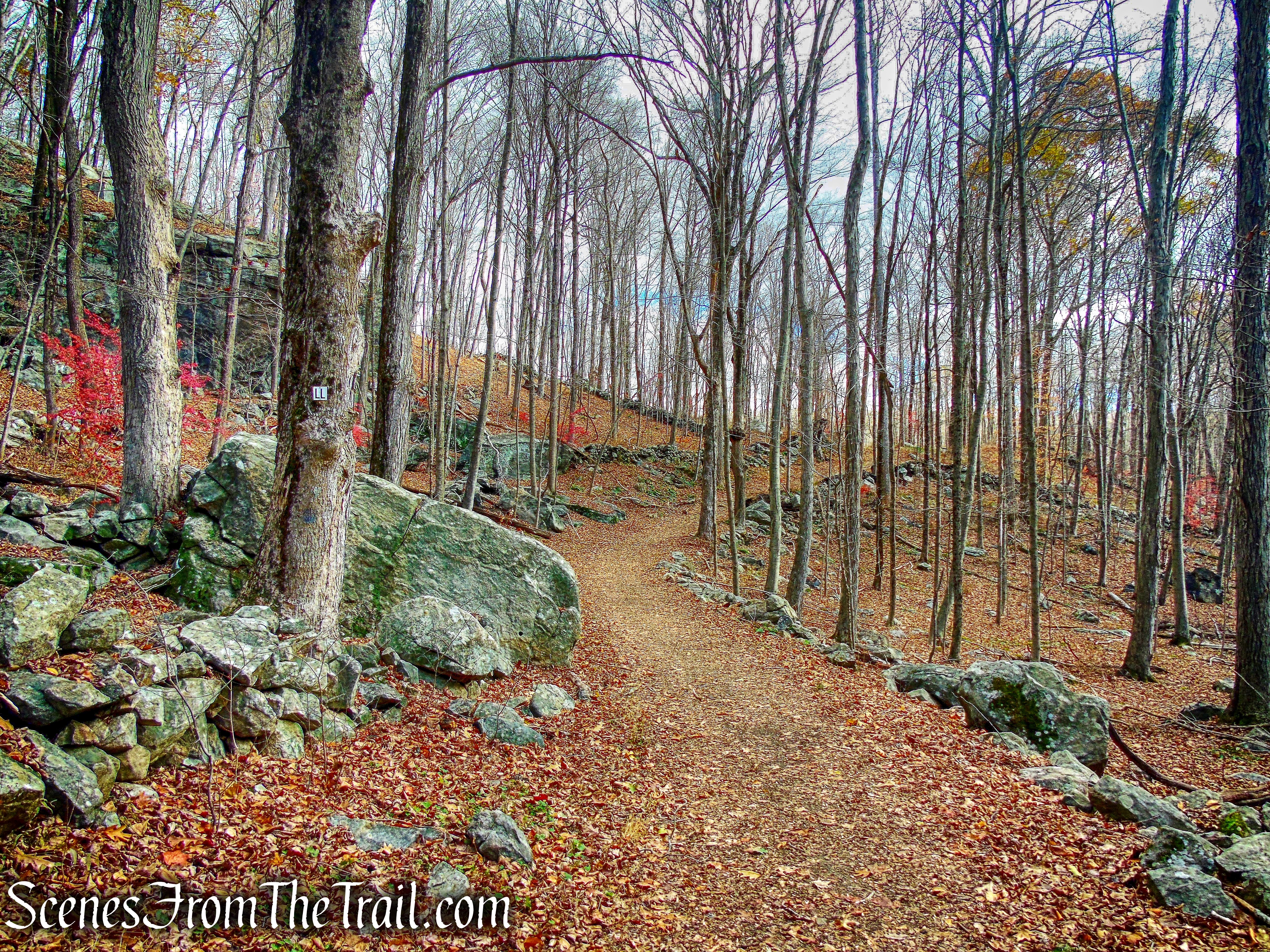 Leatherman's Loop Trail