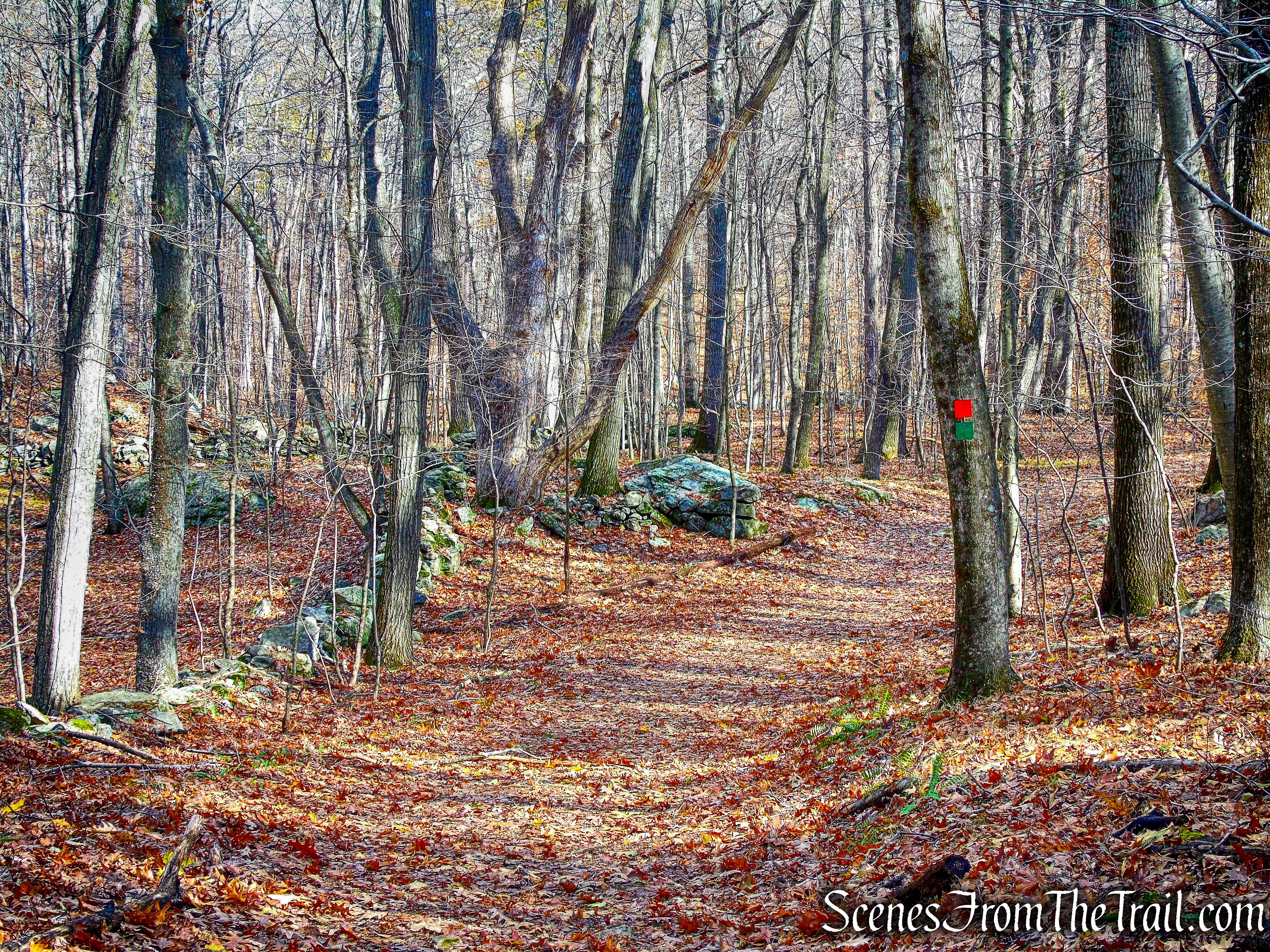 Red/Green Trail