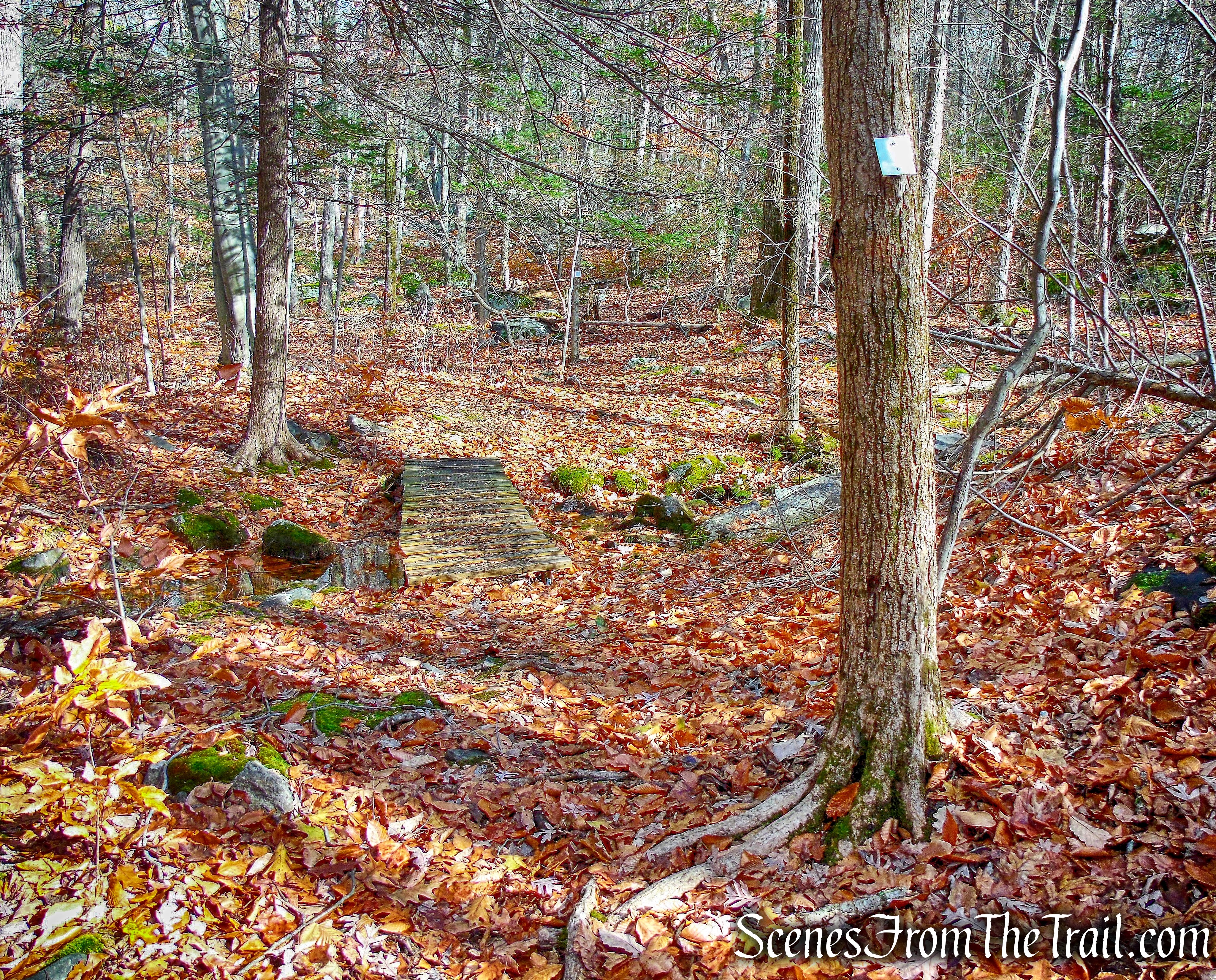 secondary trail from junction 34