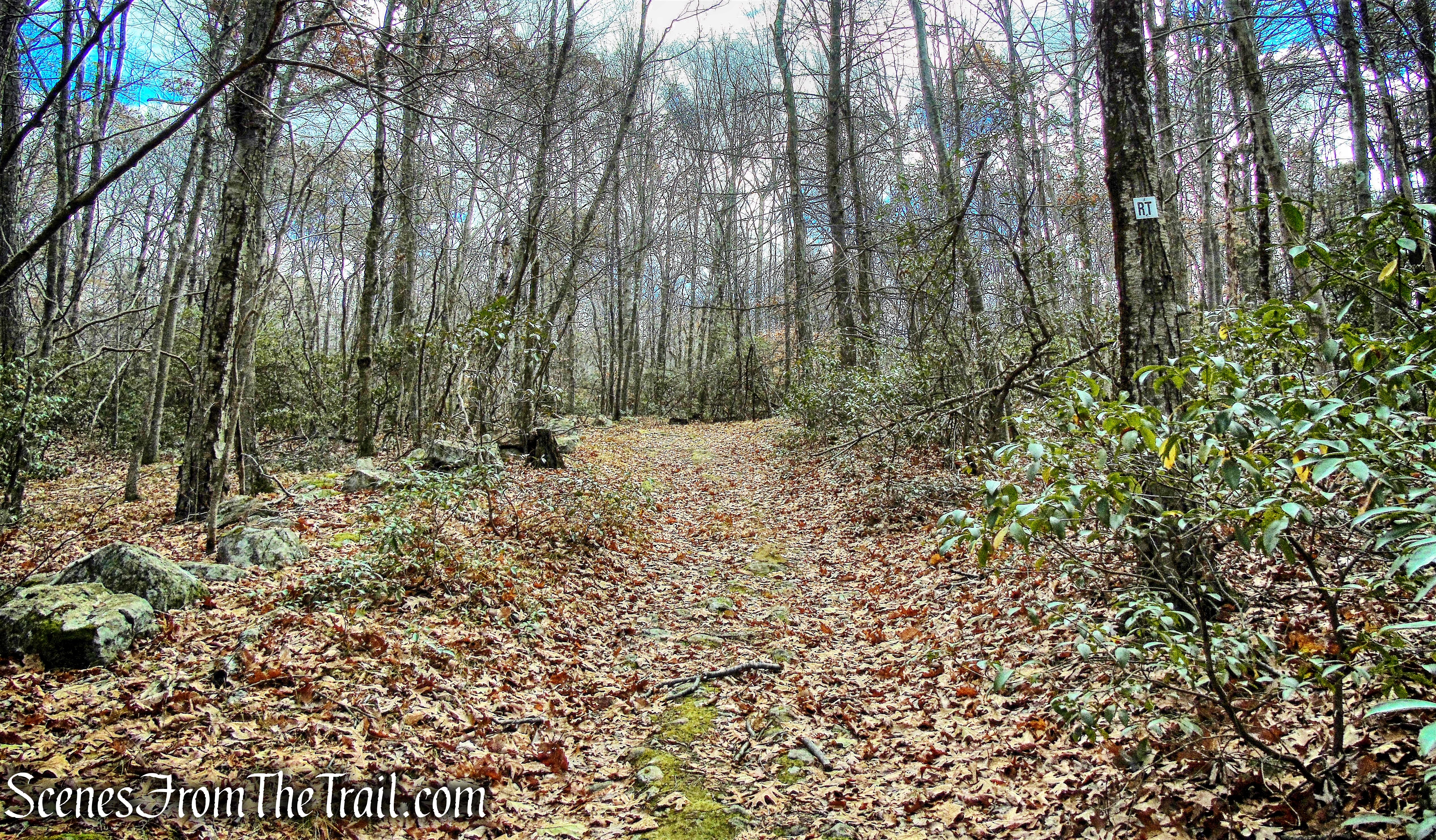 Rocks Trail