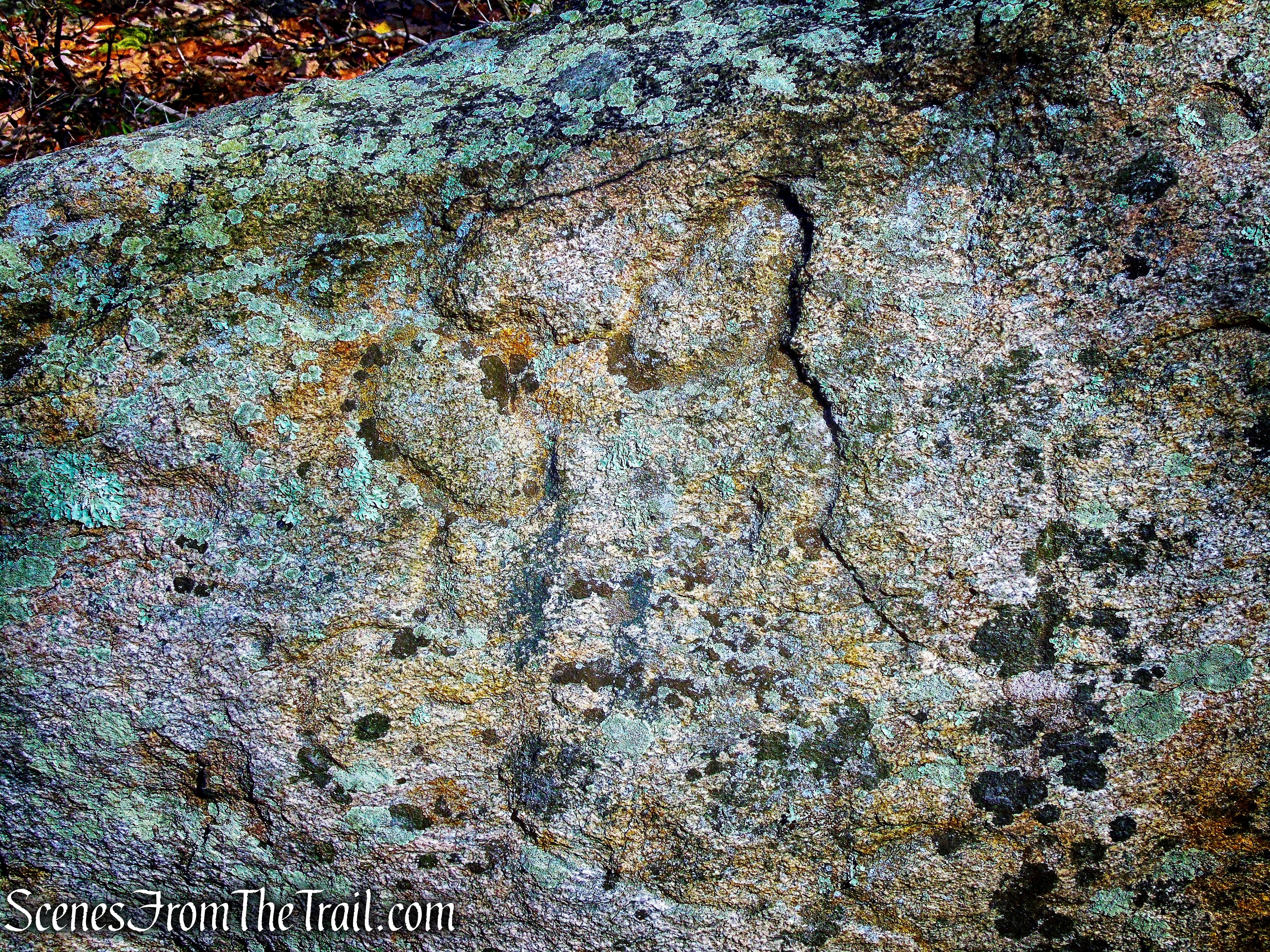 Bear Rock petroglyph