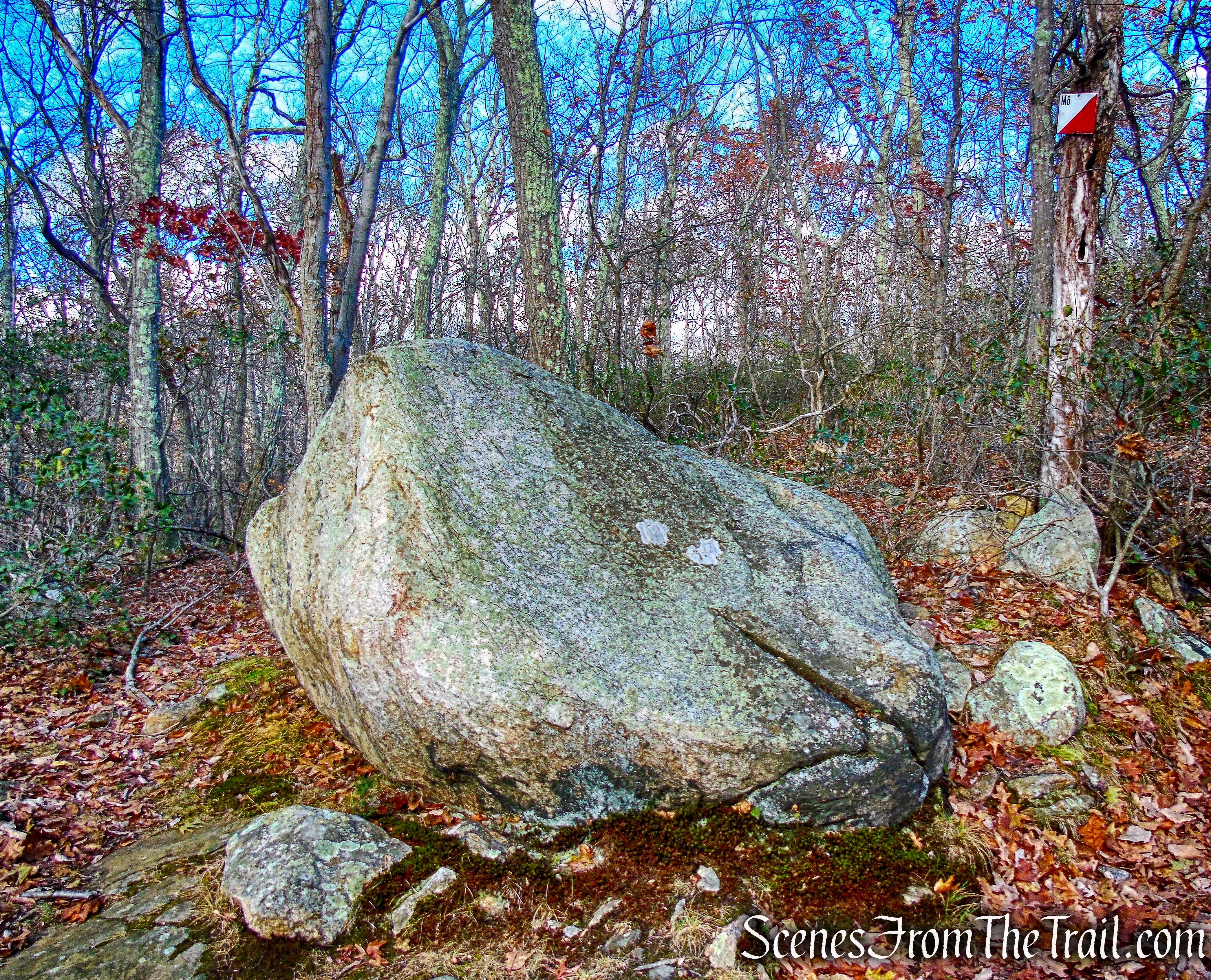 Bear Rock