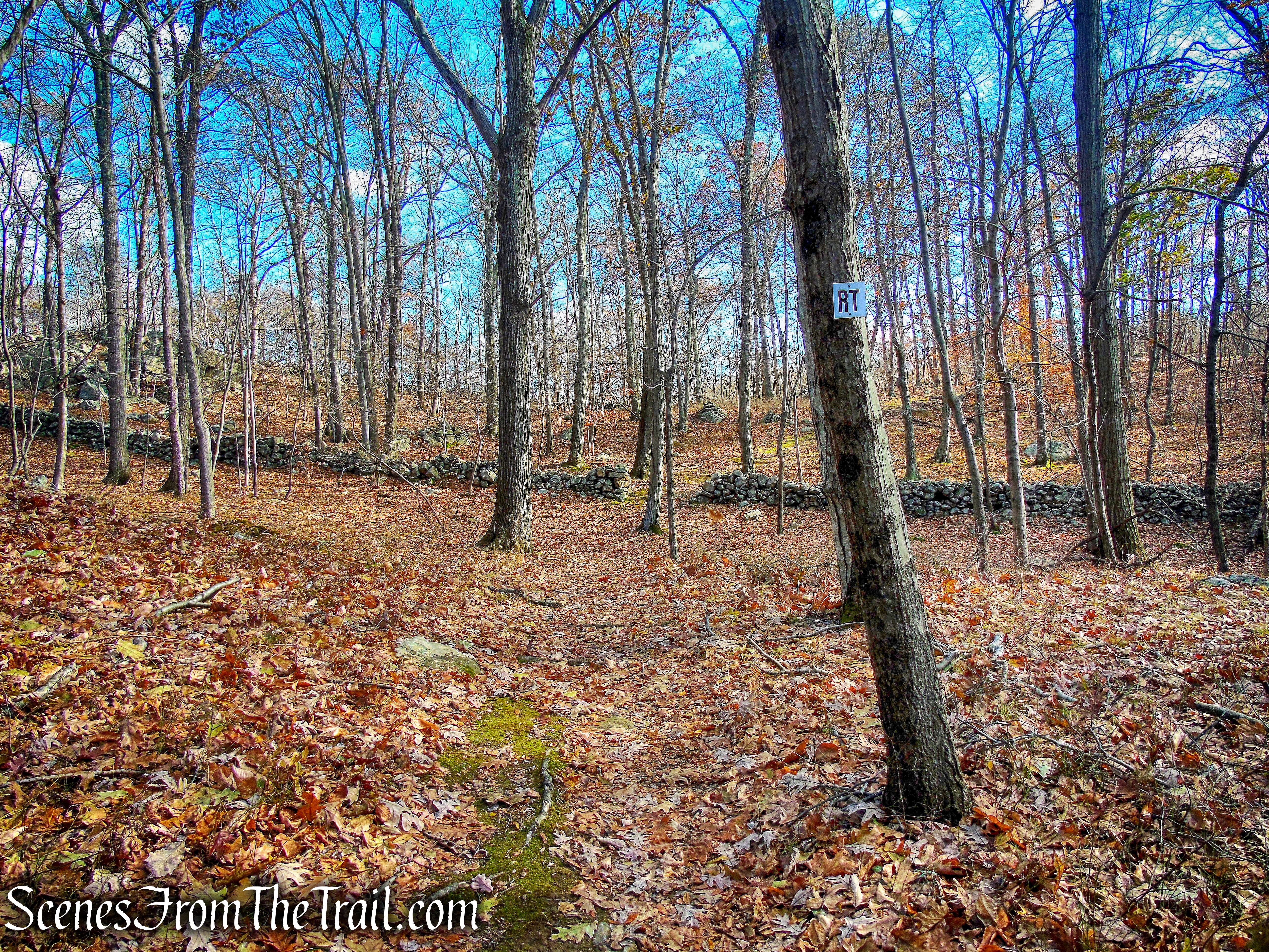 Rocks Trail