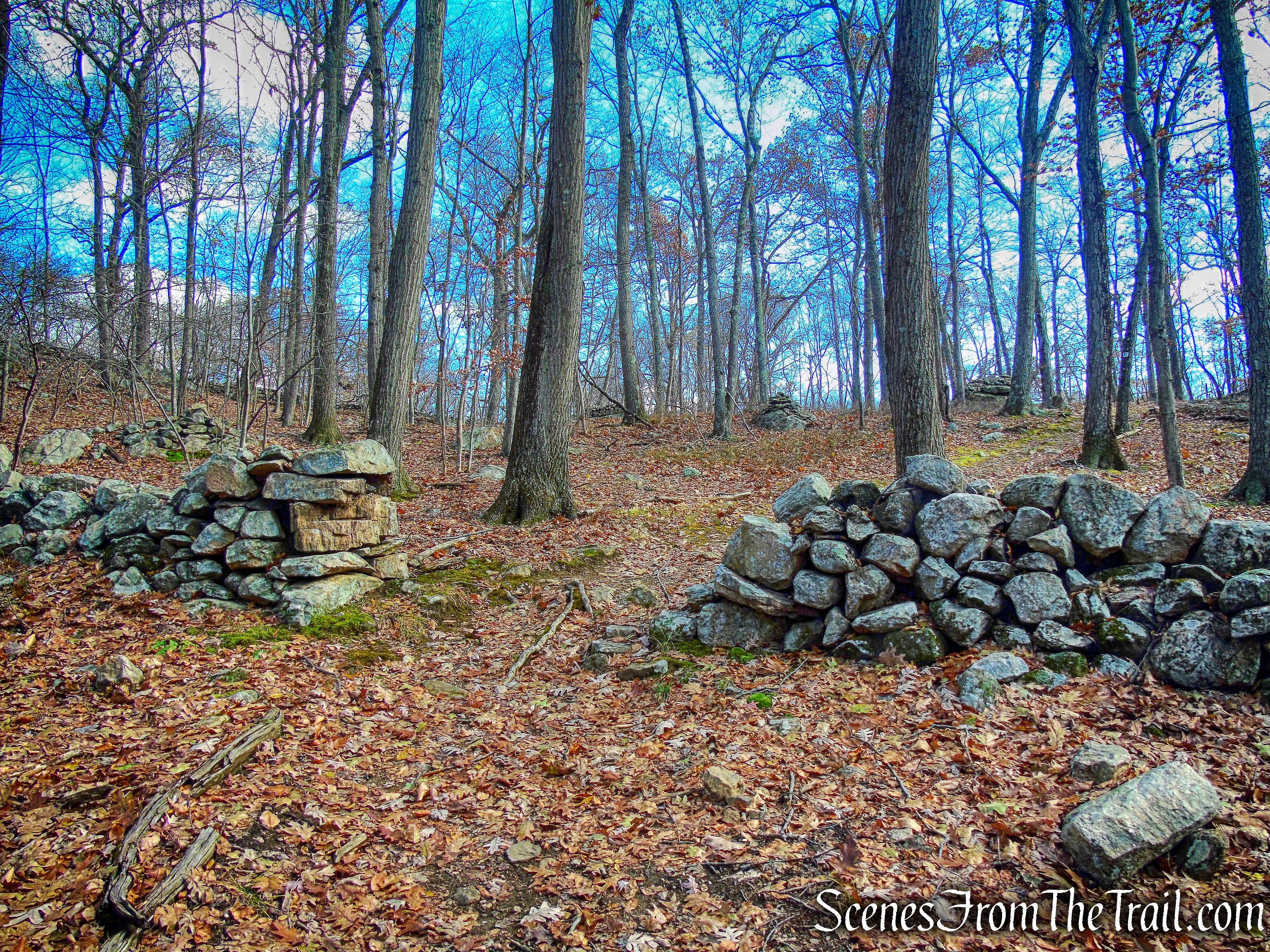 Rocks Trail