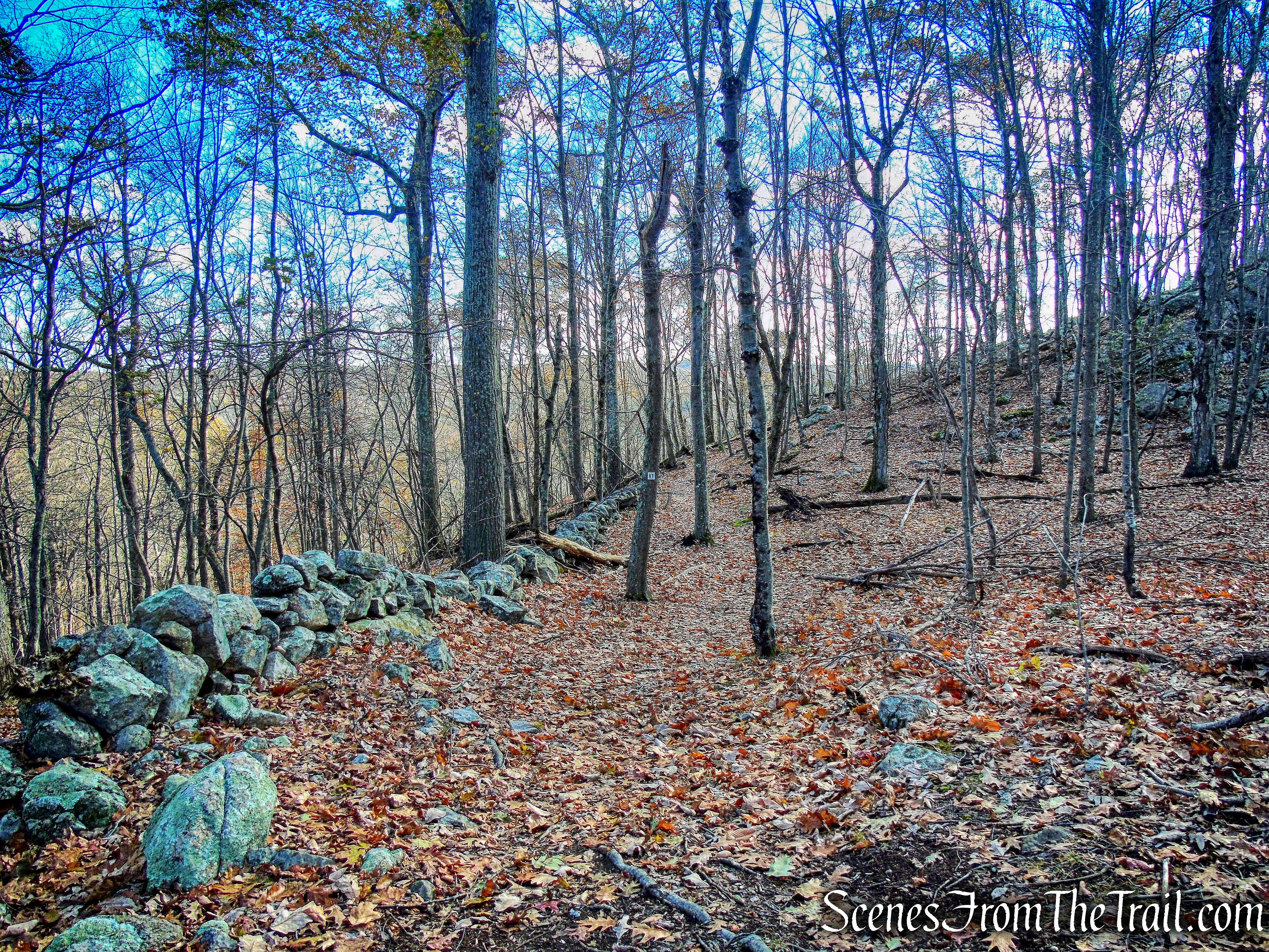 Rocks Trail