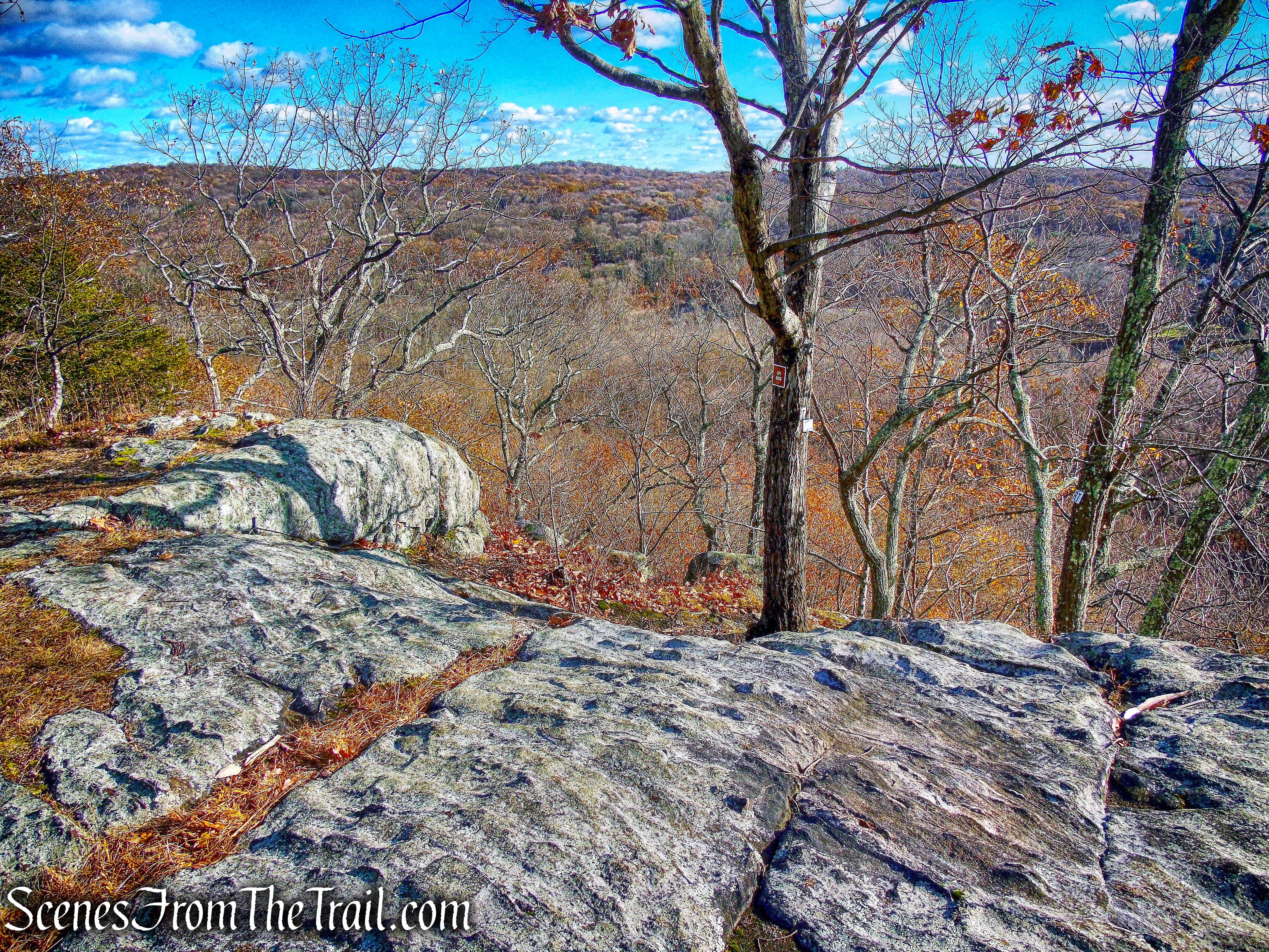 Spy Rock
