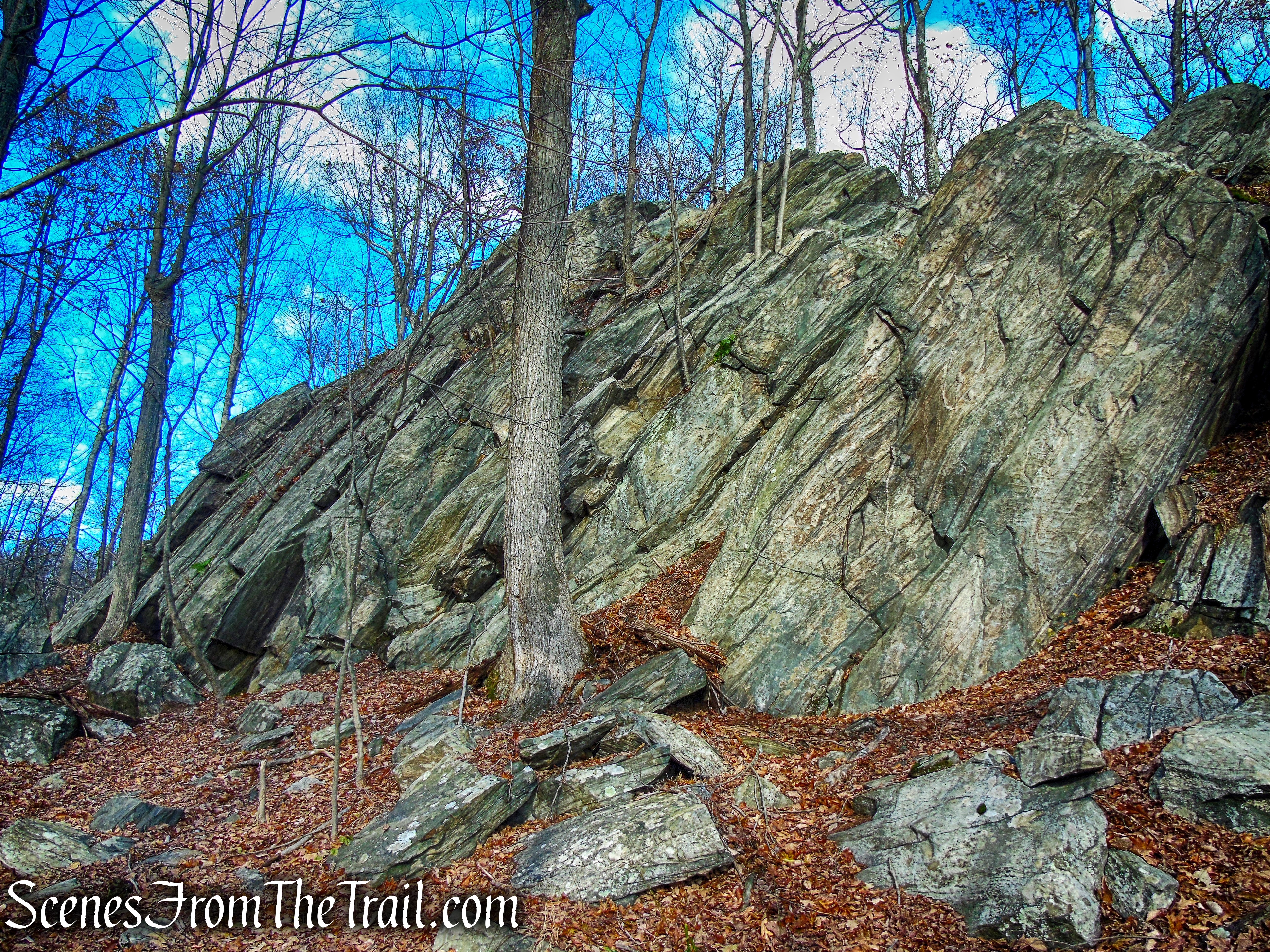 Rocks Trail