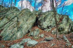 Rocks Trail