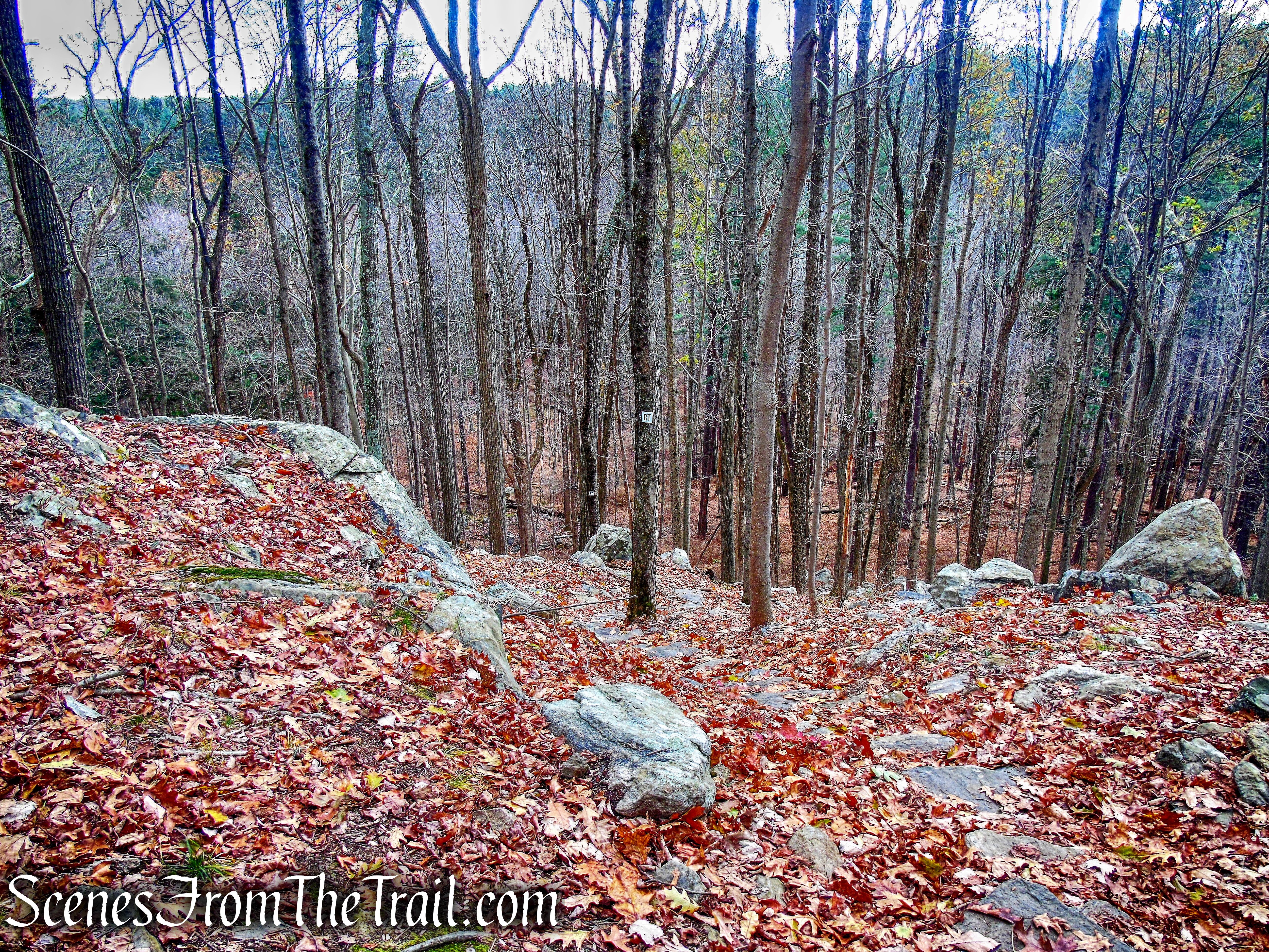 rock steps - Rocks Trail
