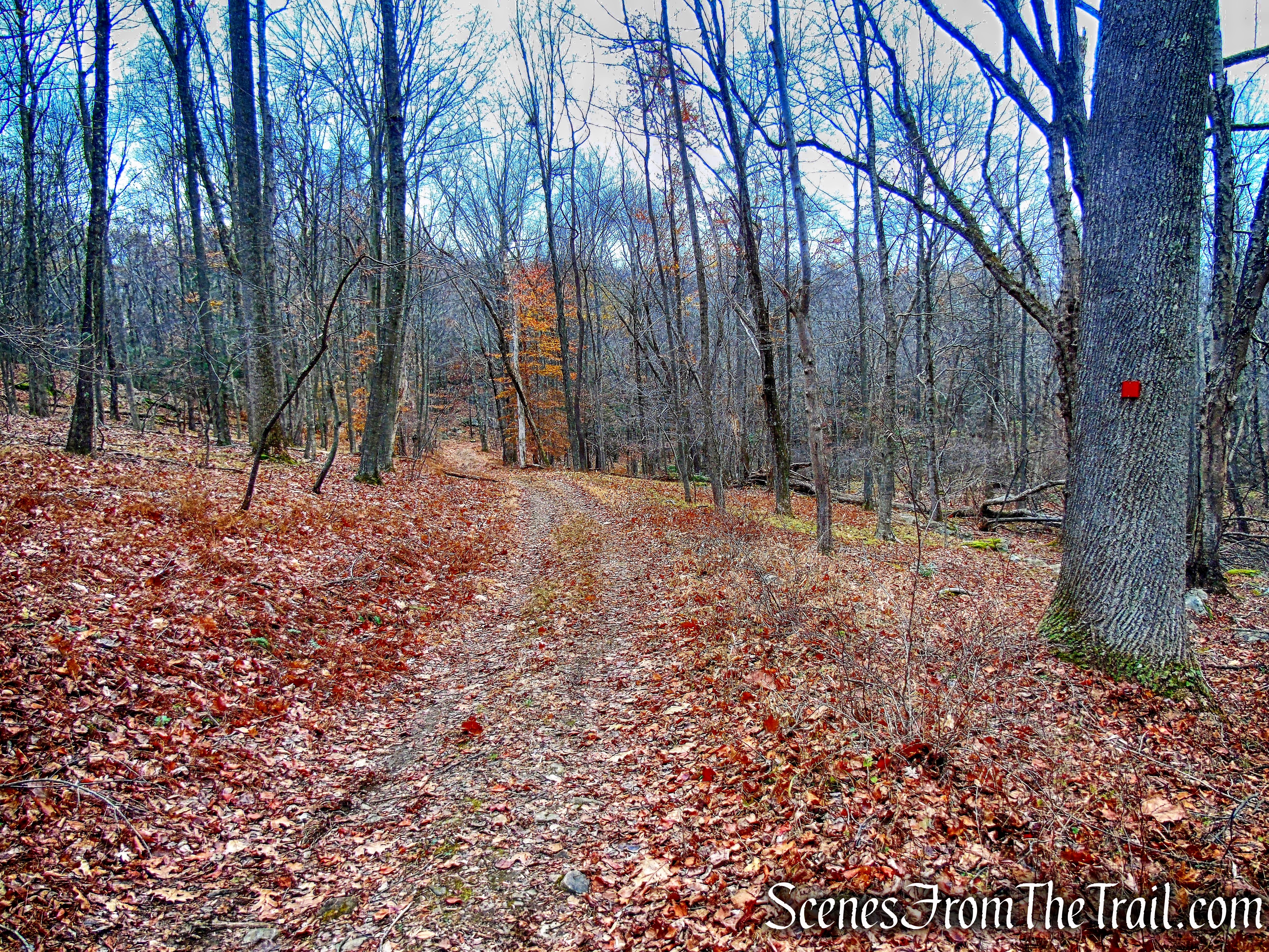 Red Trail