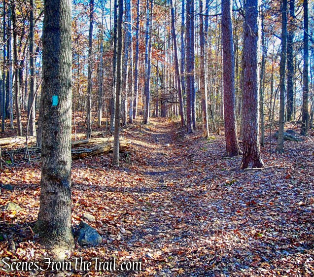 Long Path - Blauvelt State Park