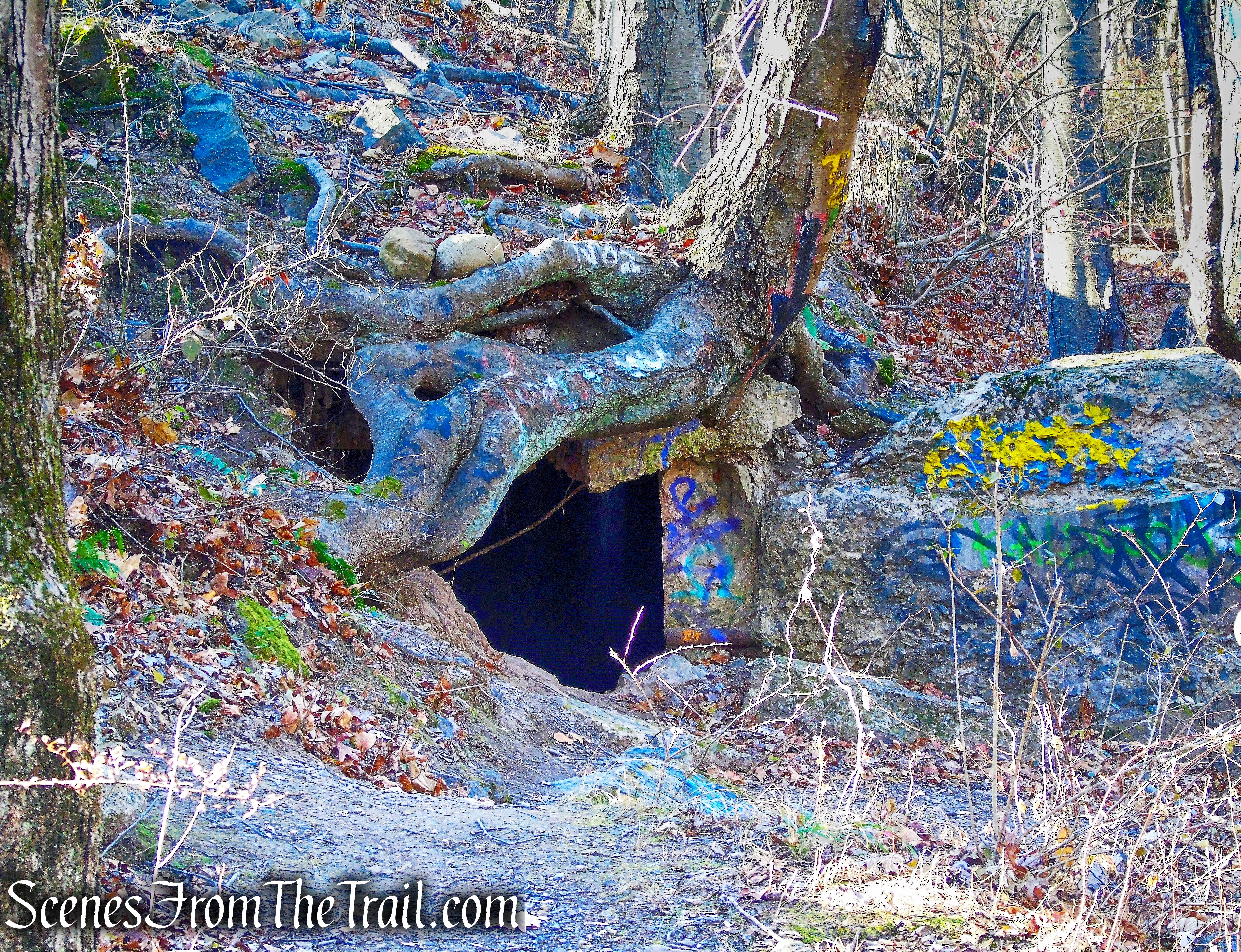 Camp Bluefields