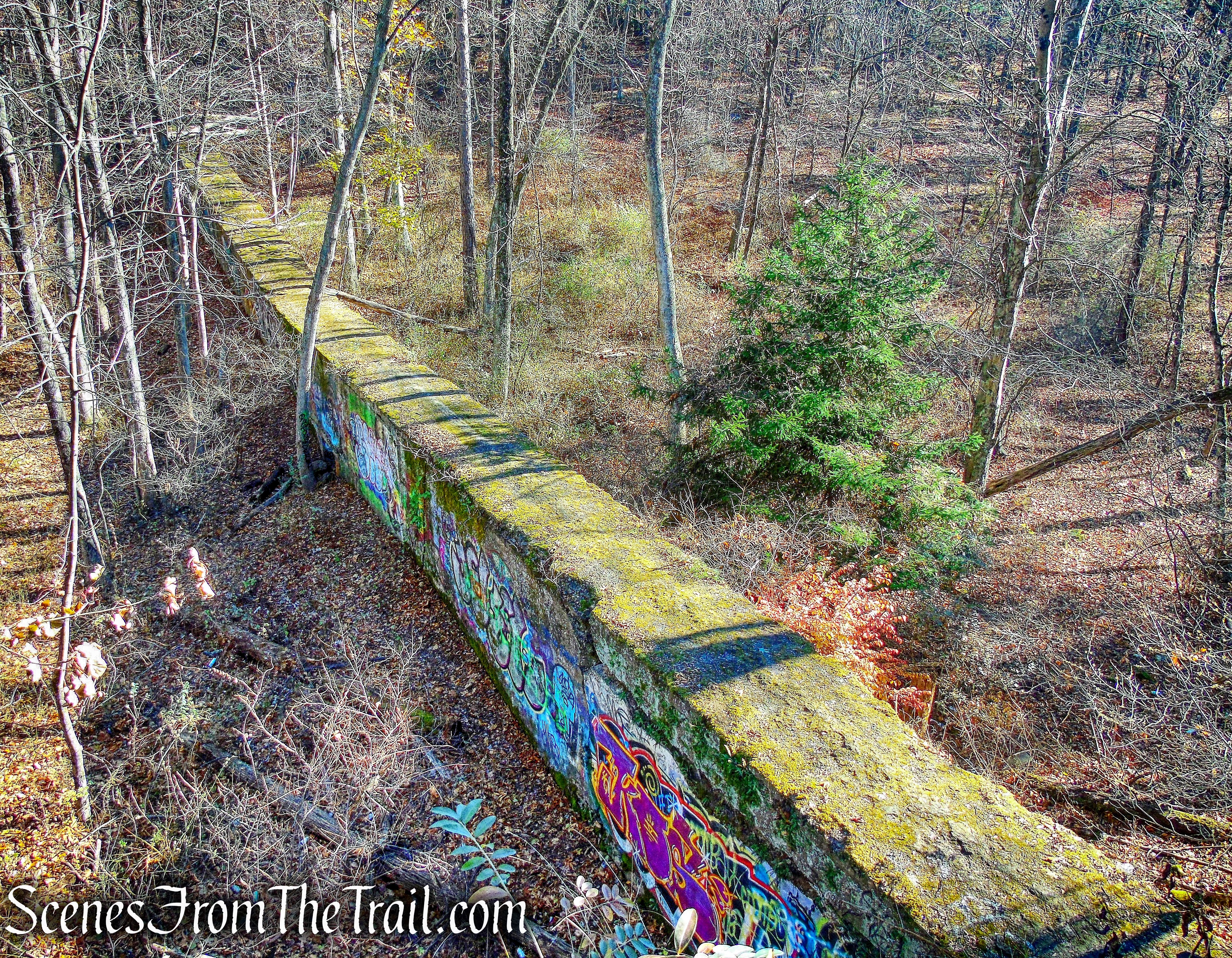 above ground tunnel - Camp Bluefields