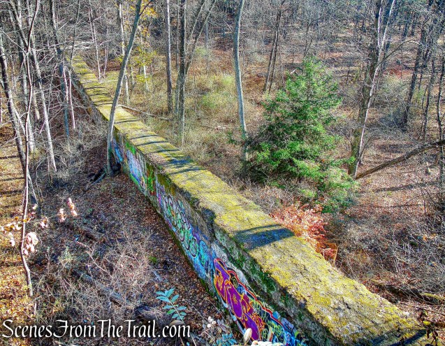above ground tunnel - Camp Bluefields