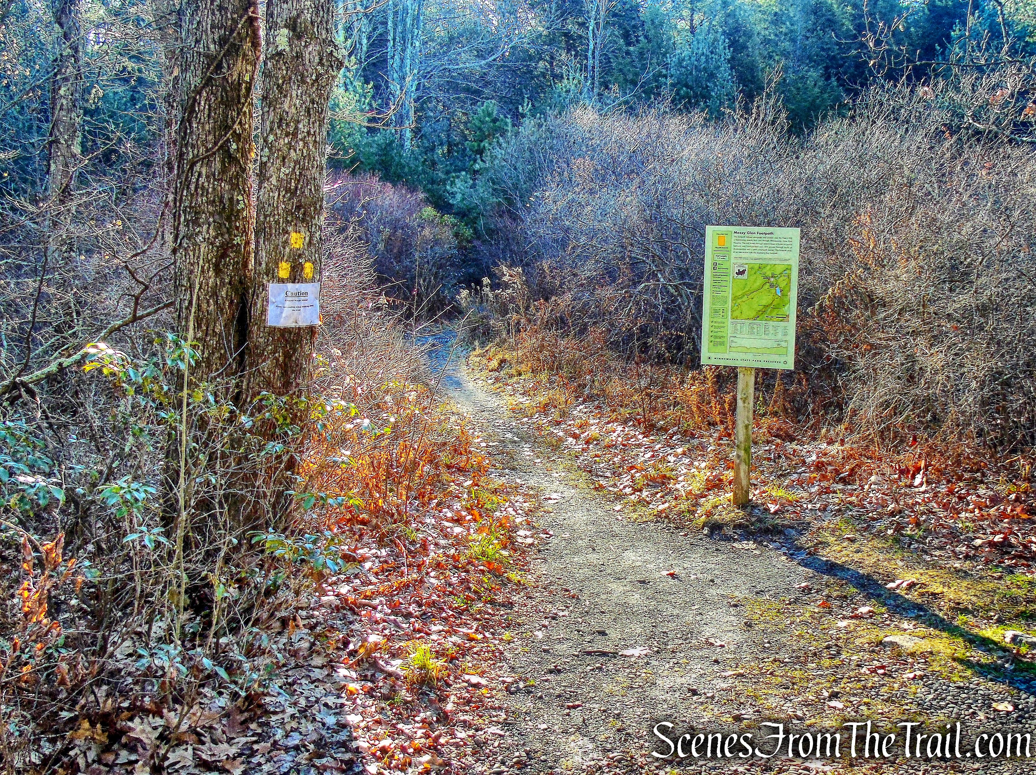 Mossy Glen Footpath