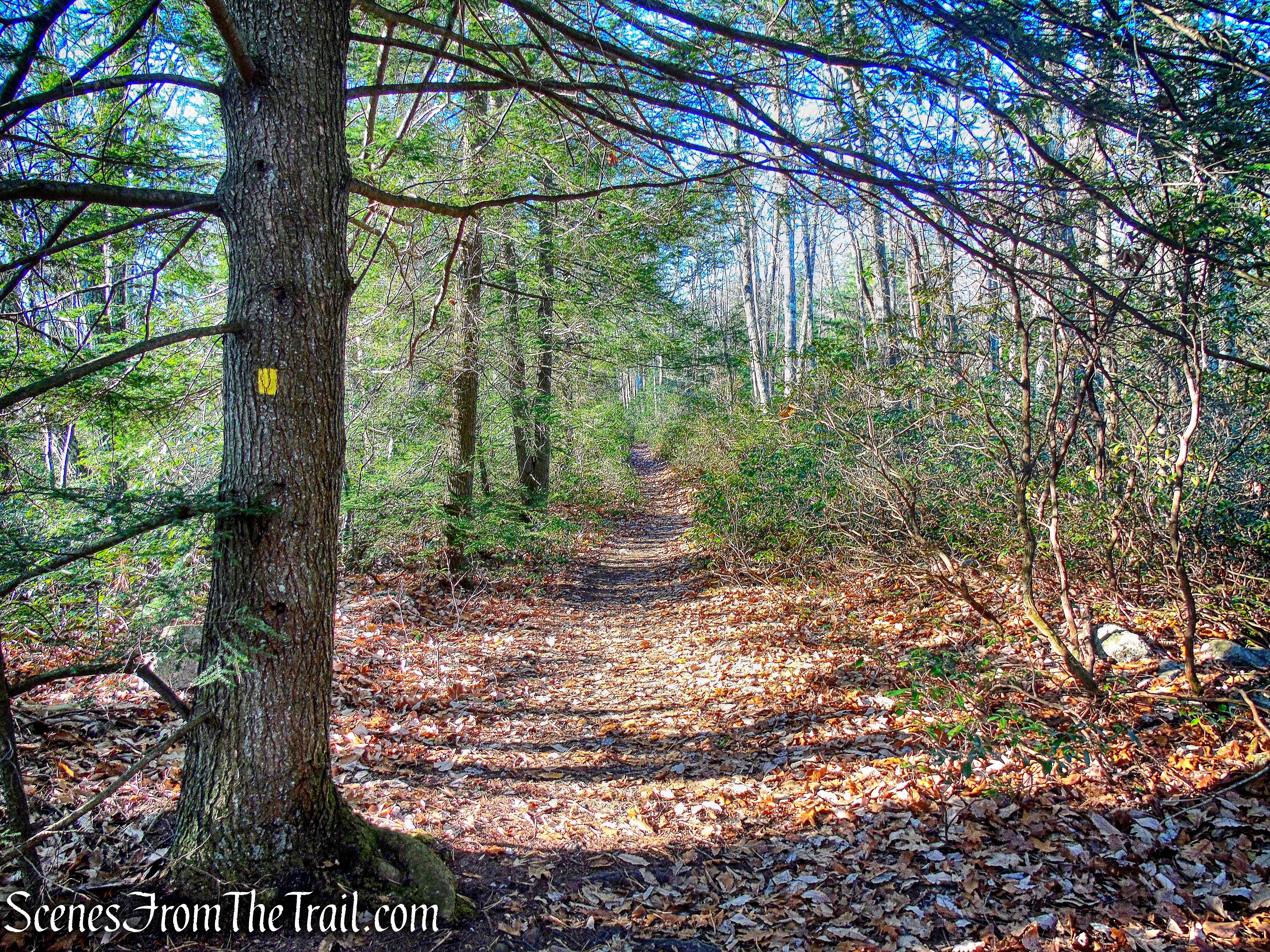 Mossy Glen Footpath