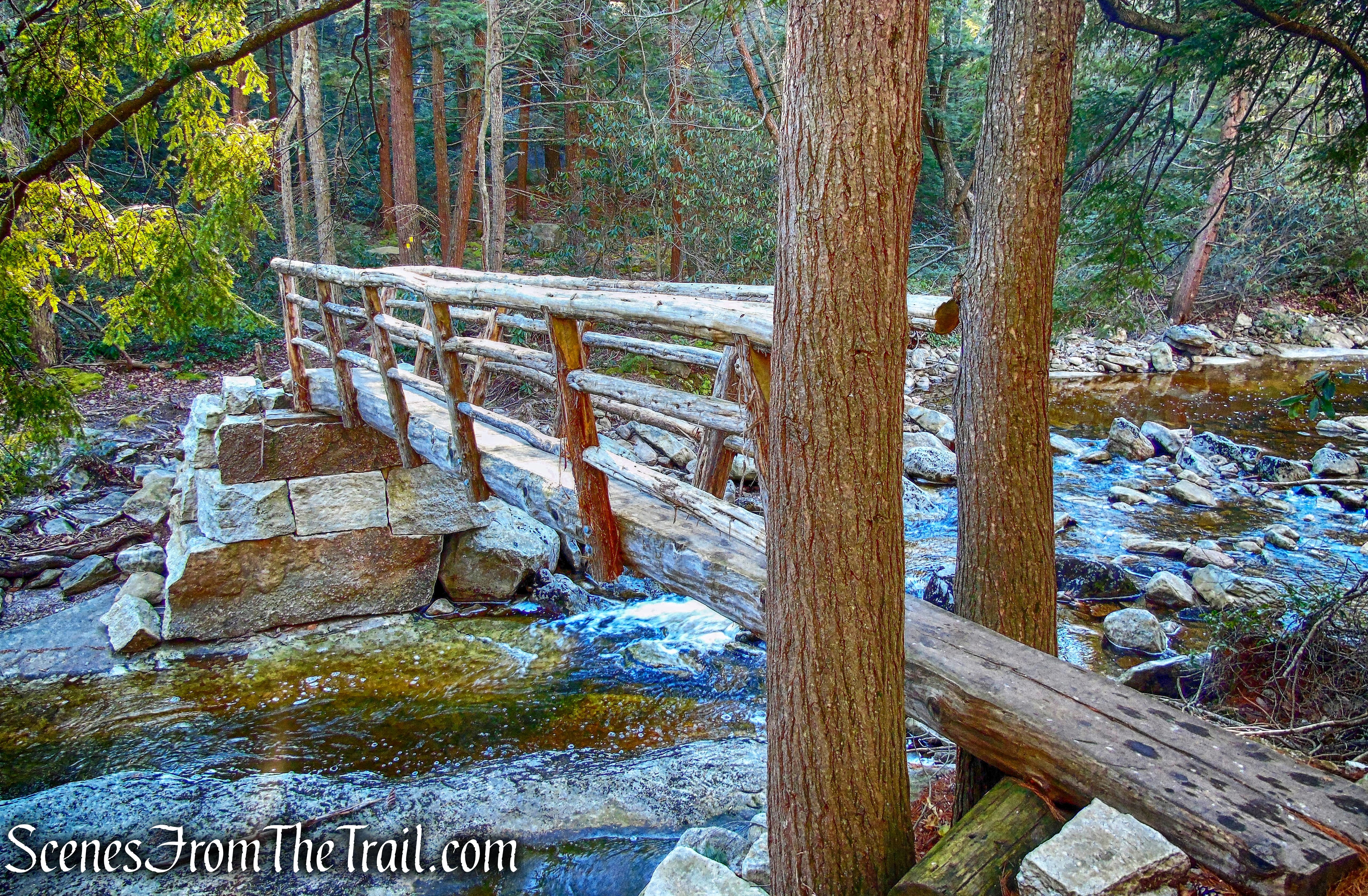 log footbridge - Mossy Glen Footpath