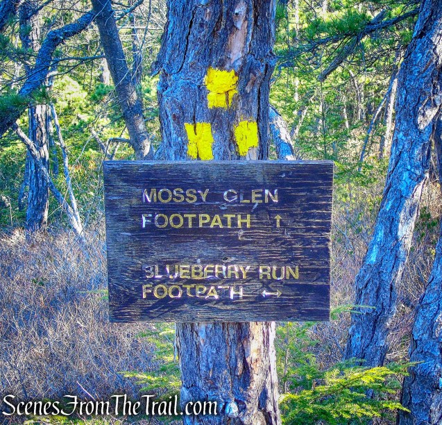 Mossy Glen and Blueberry Run junction