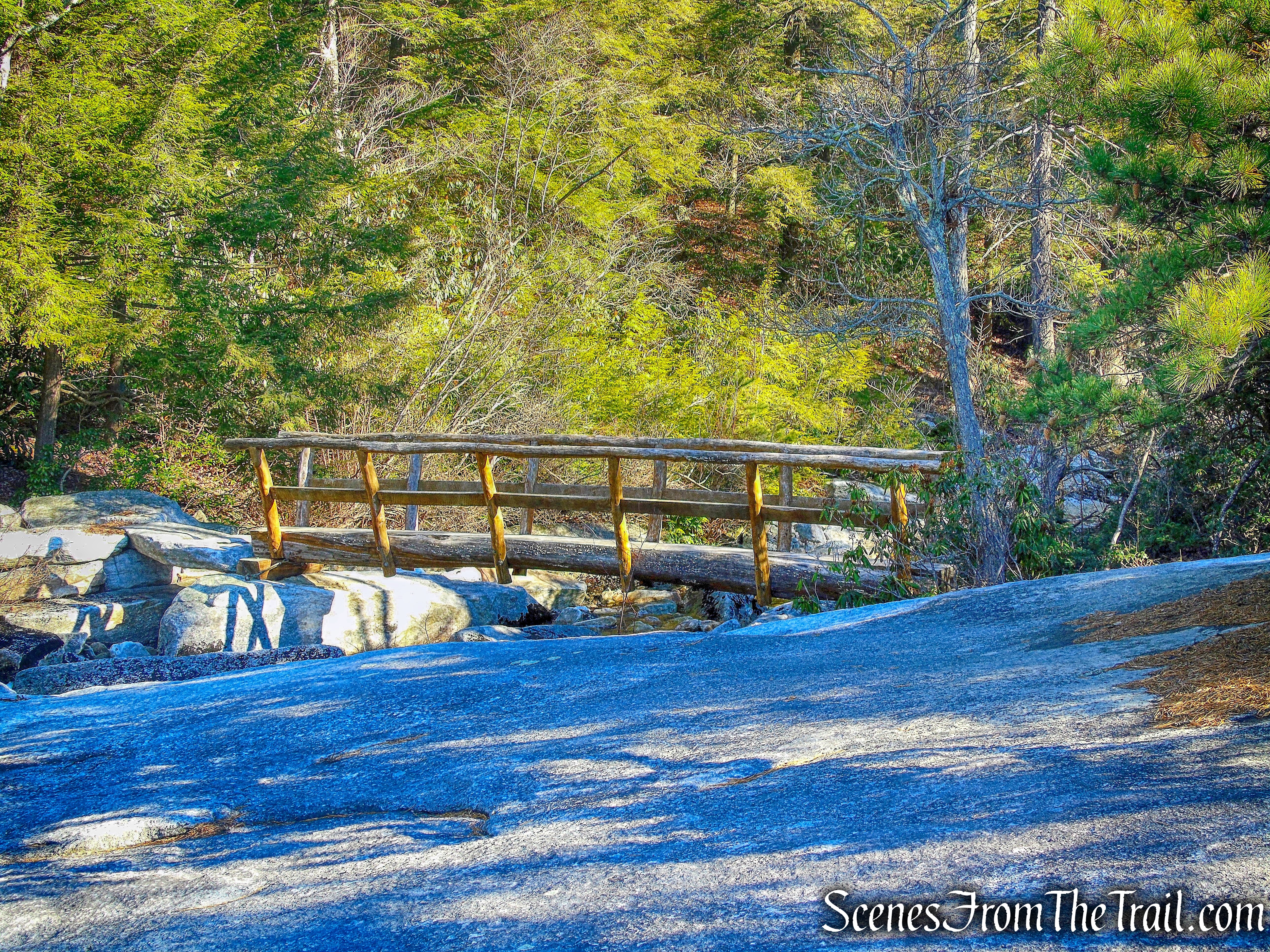 log footbridge - Blueberry Run Footpath