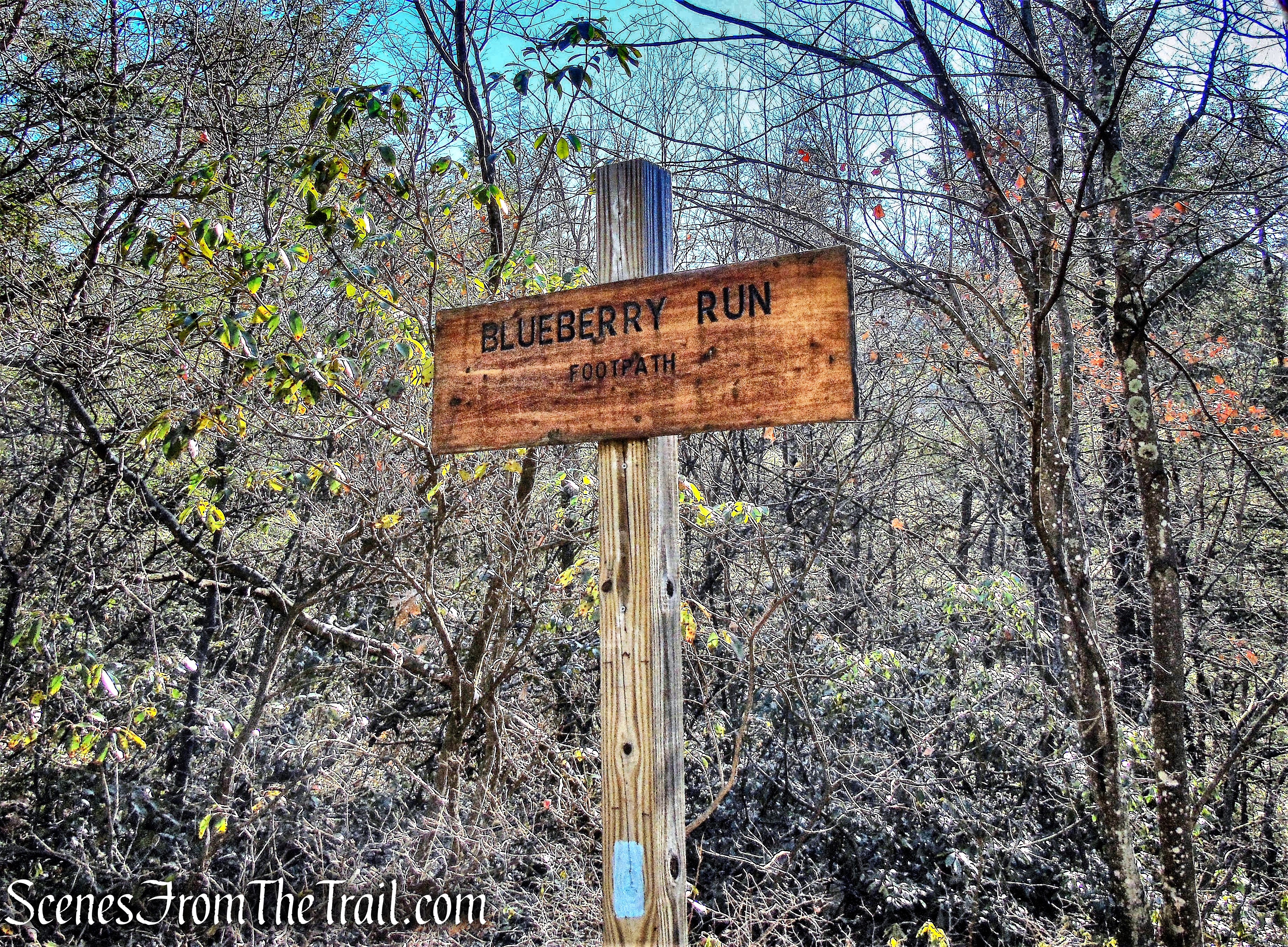 Blueberry Run Footpath
