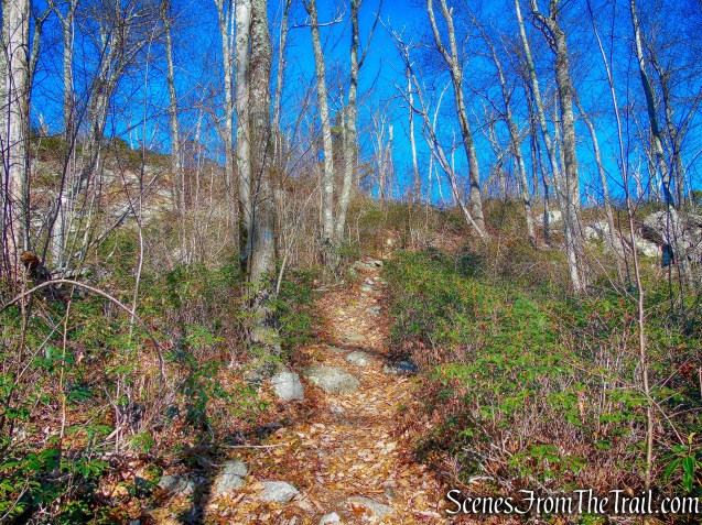 Blueberry Run Footpath