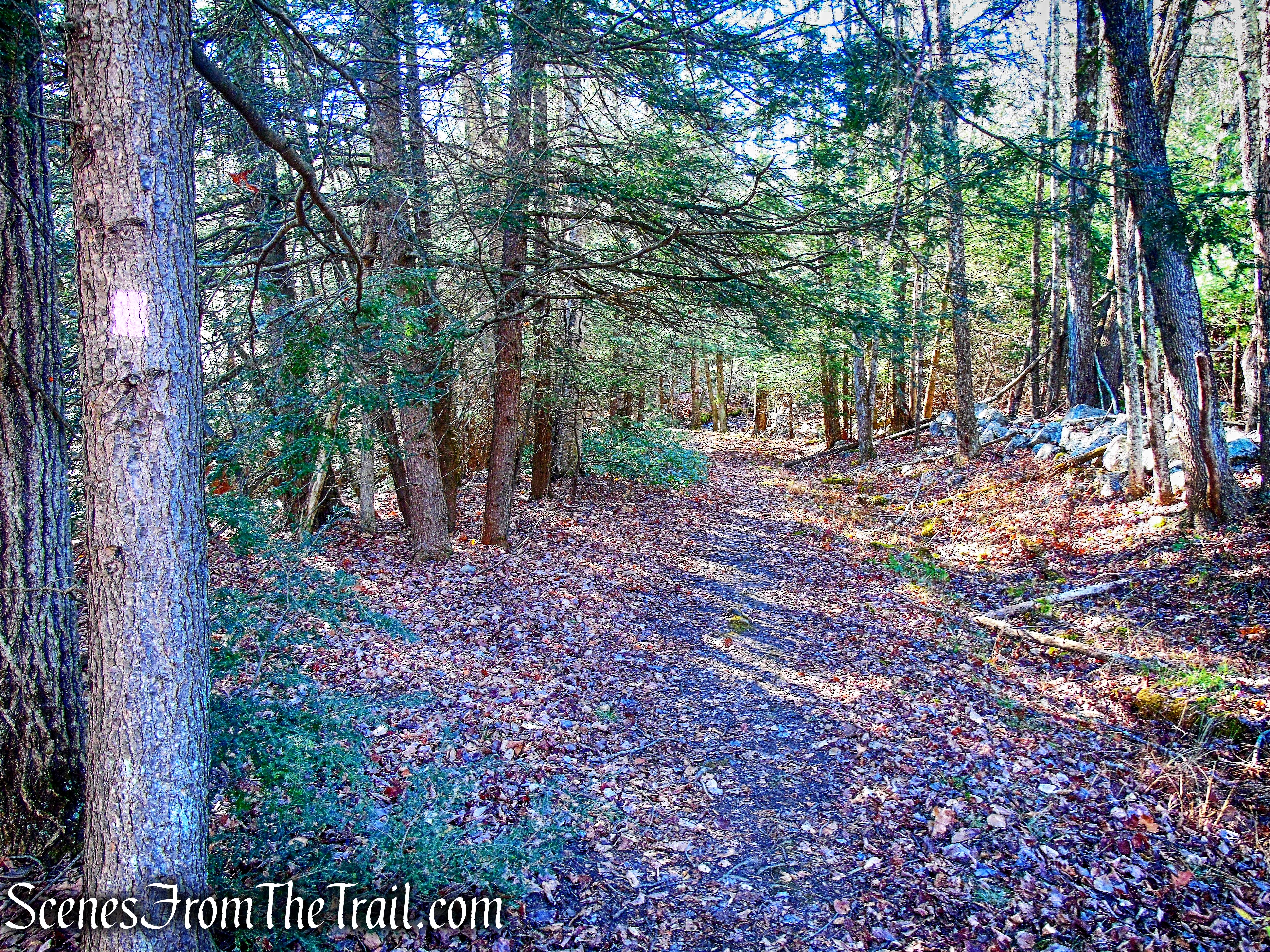 Wawarsing Turnpike Footpath
