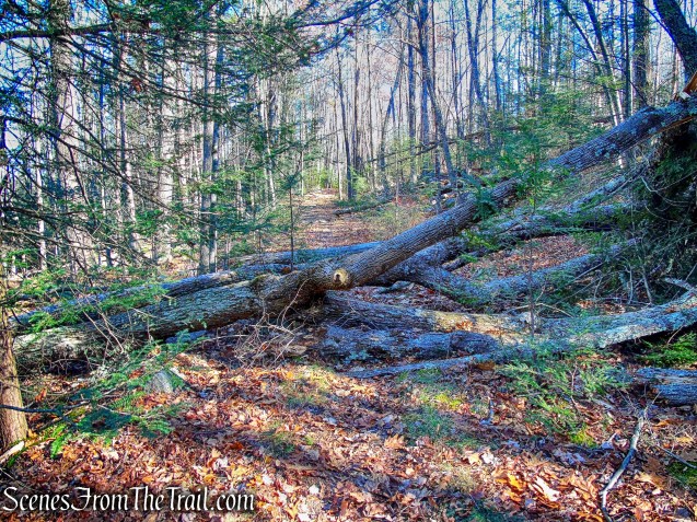 Wawarsing Turnpike Footpath