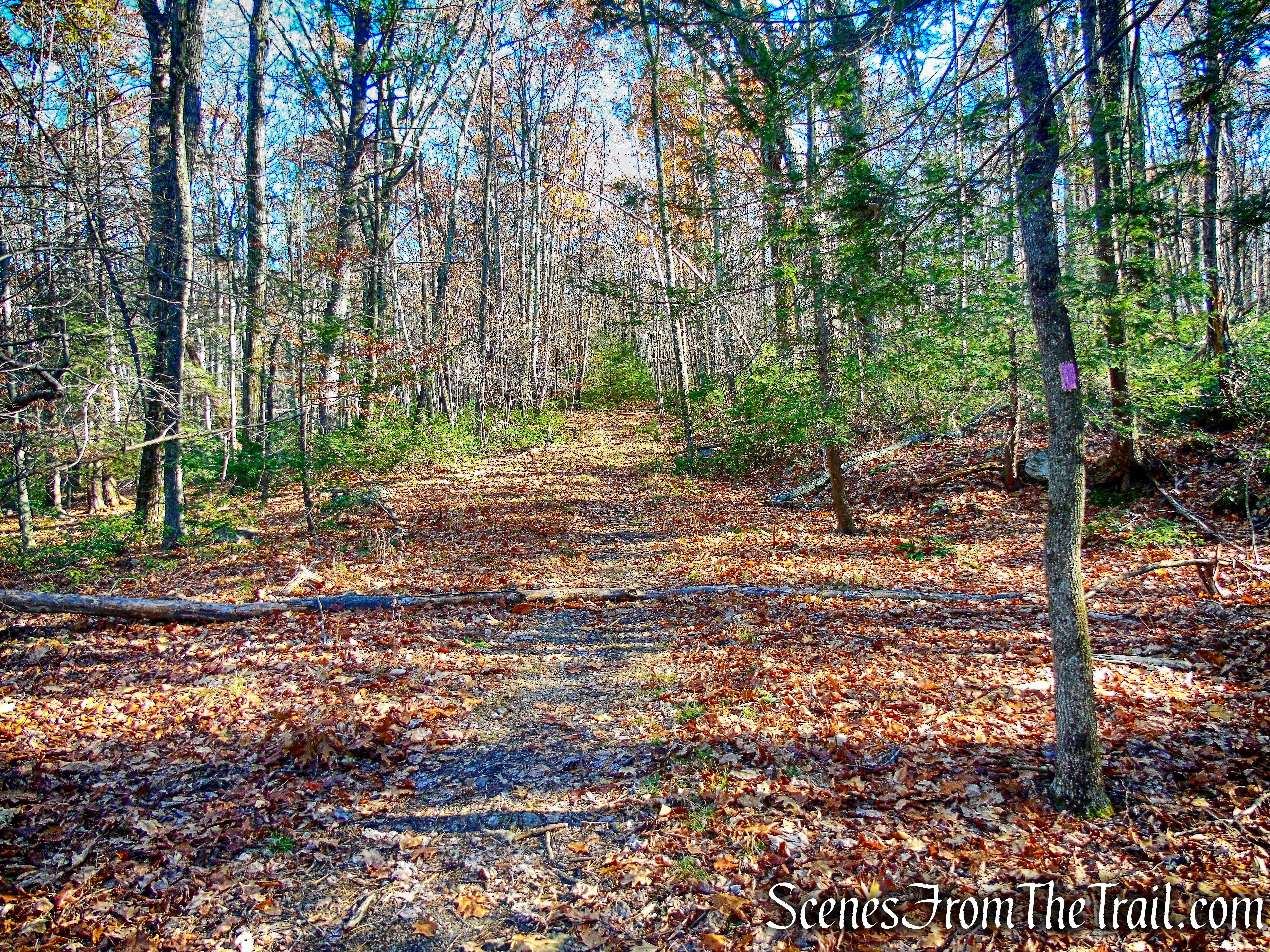 Wawarsing Turnpike Footpath