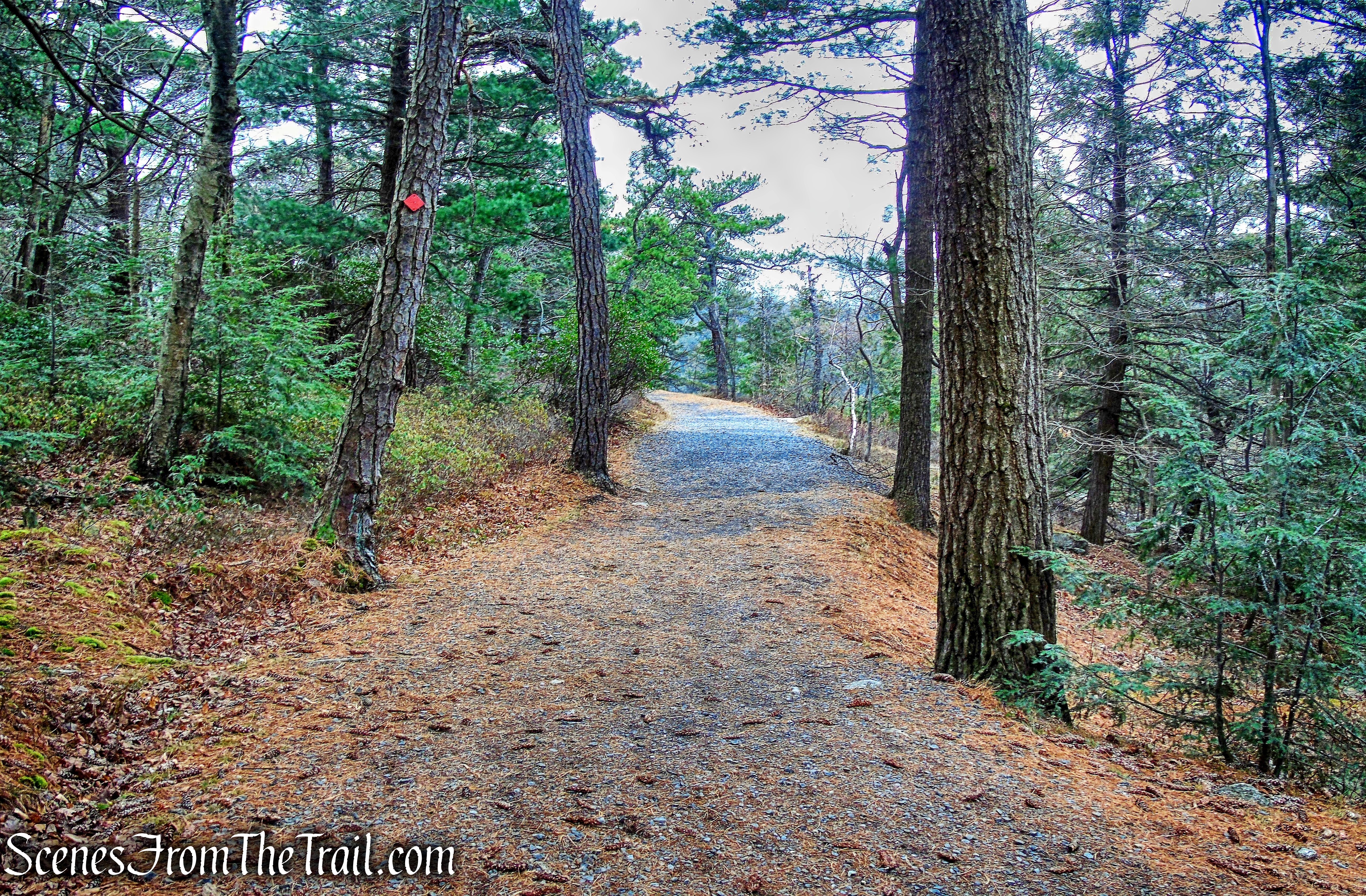 Lake Minnewaska Carriage Road