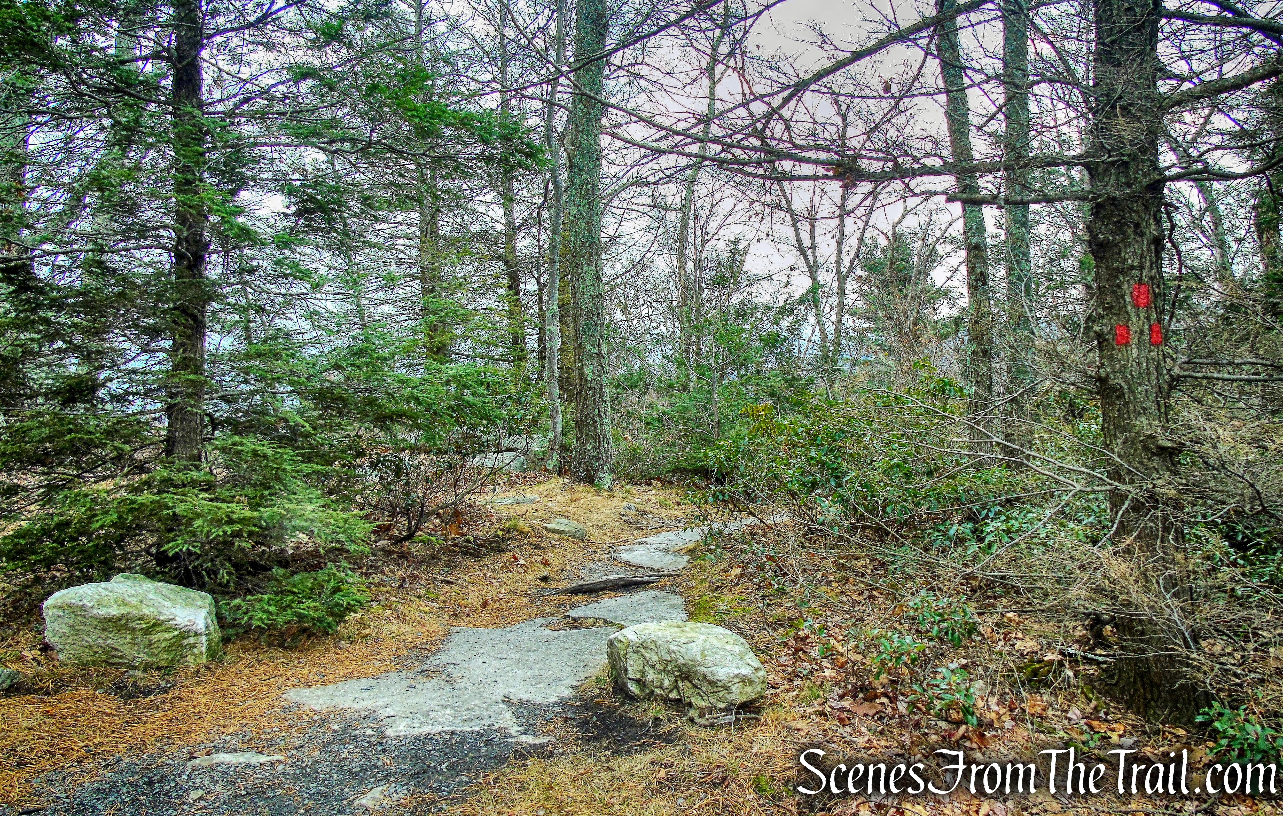 Millbrook Mountain Footpath