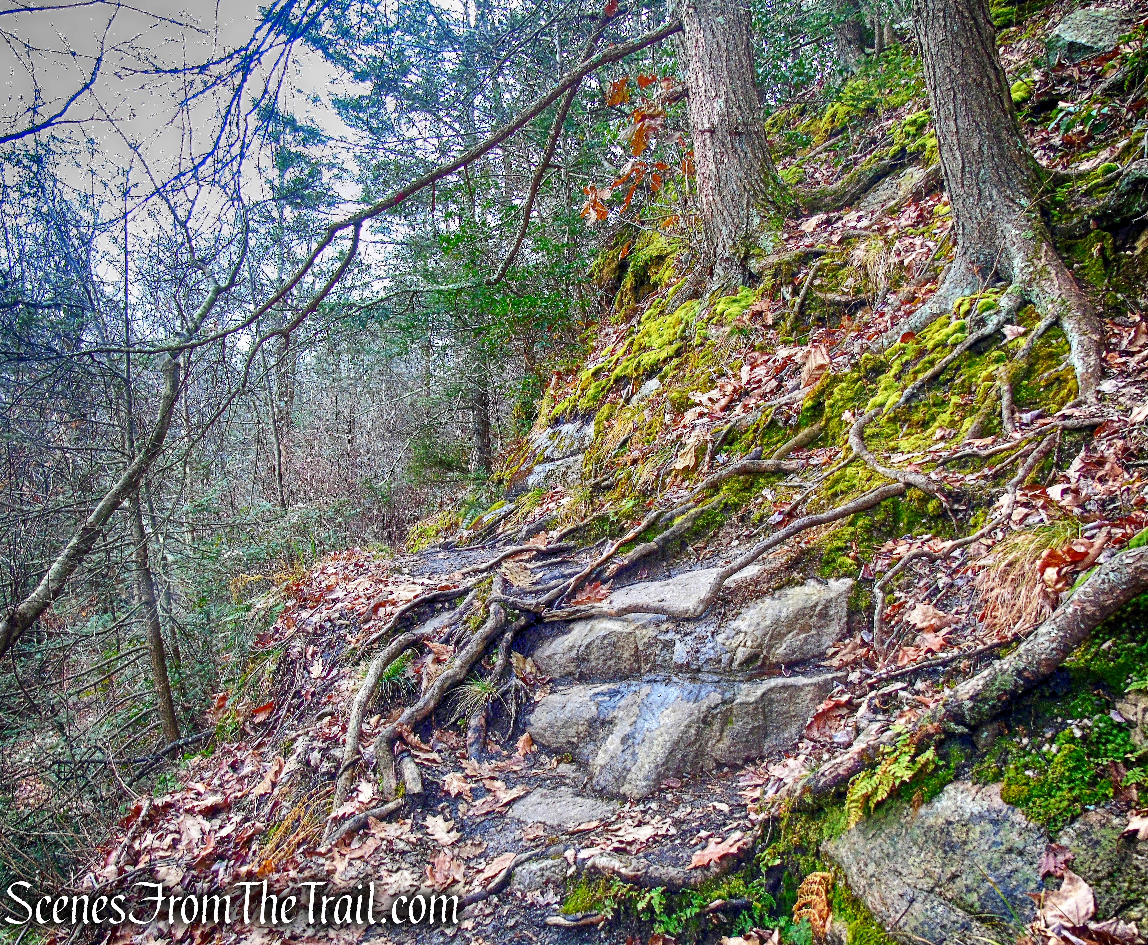 Millbrook Mountain Footpath