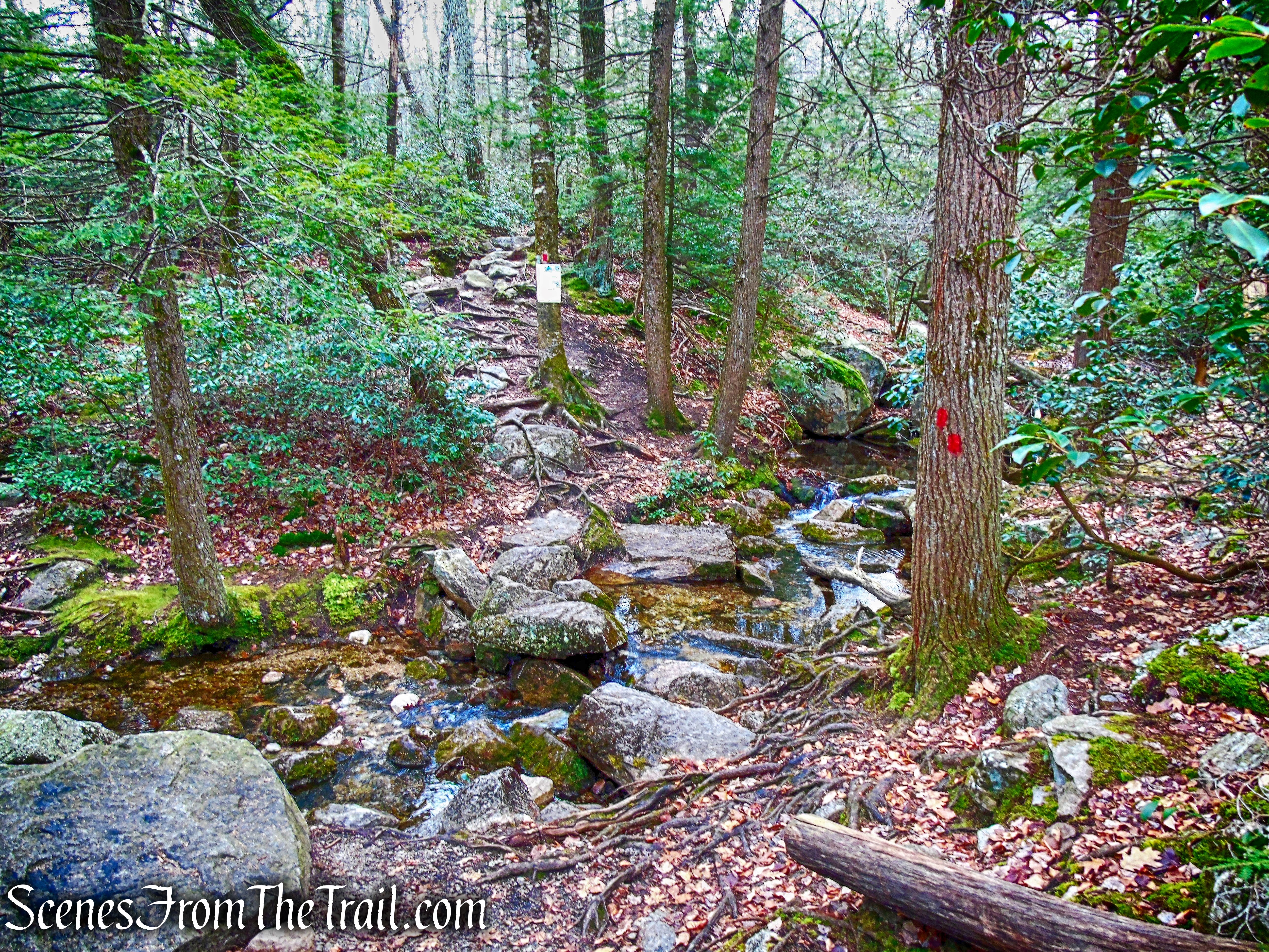 Coxing Kill - Millbrook Mountain Footpath