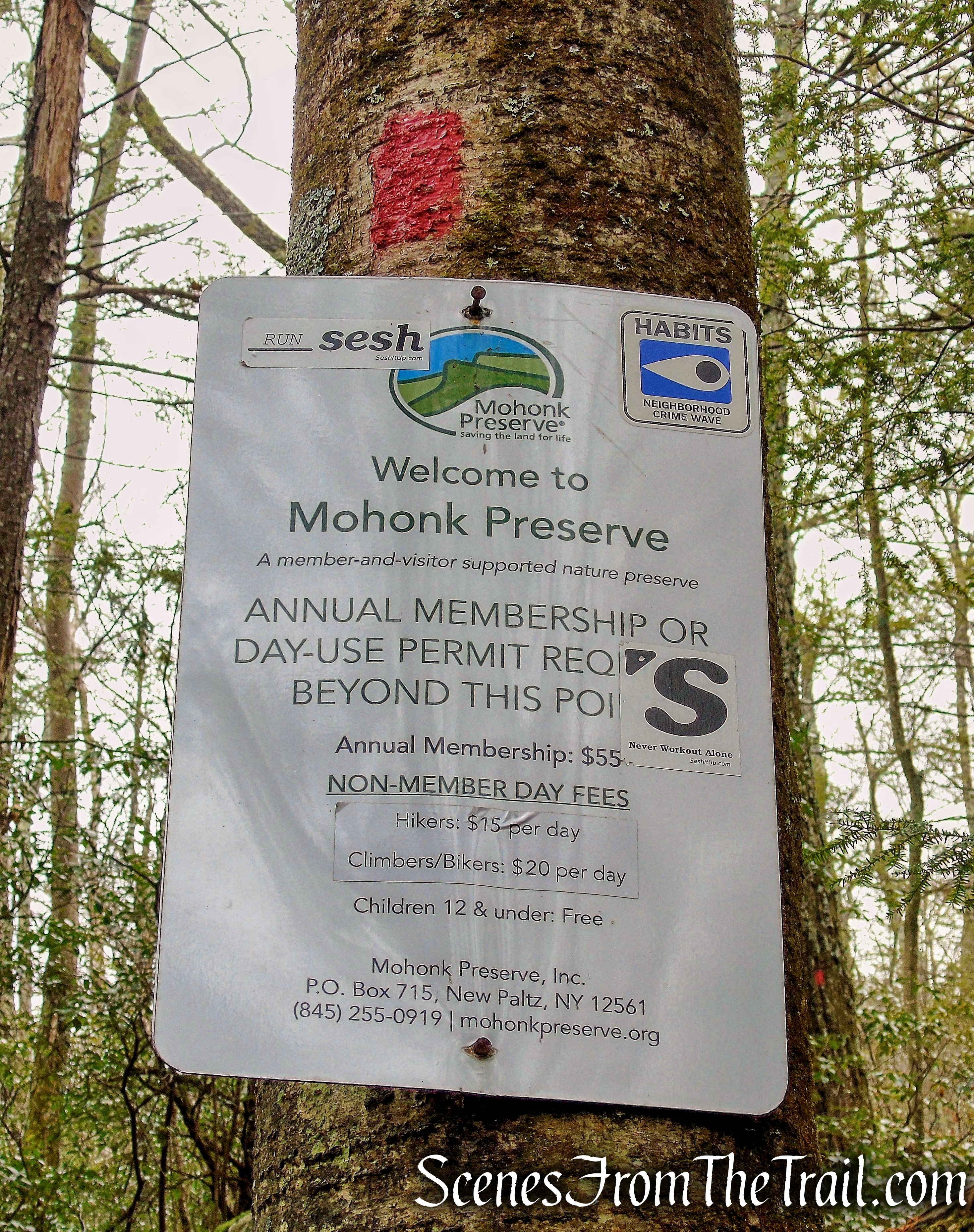 Mohonk Preserve - Millbrook Mountain Footpath